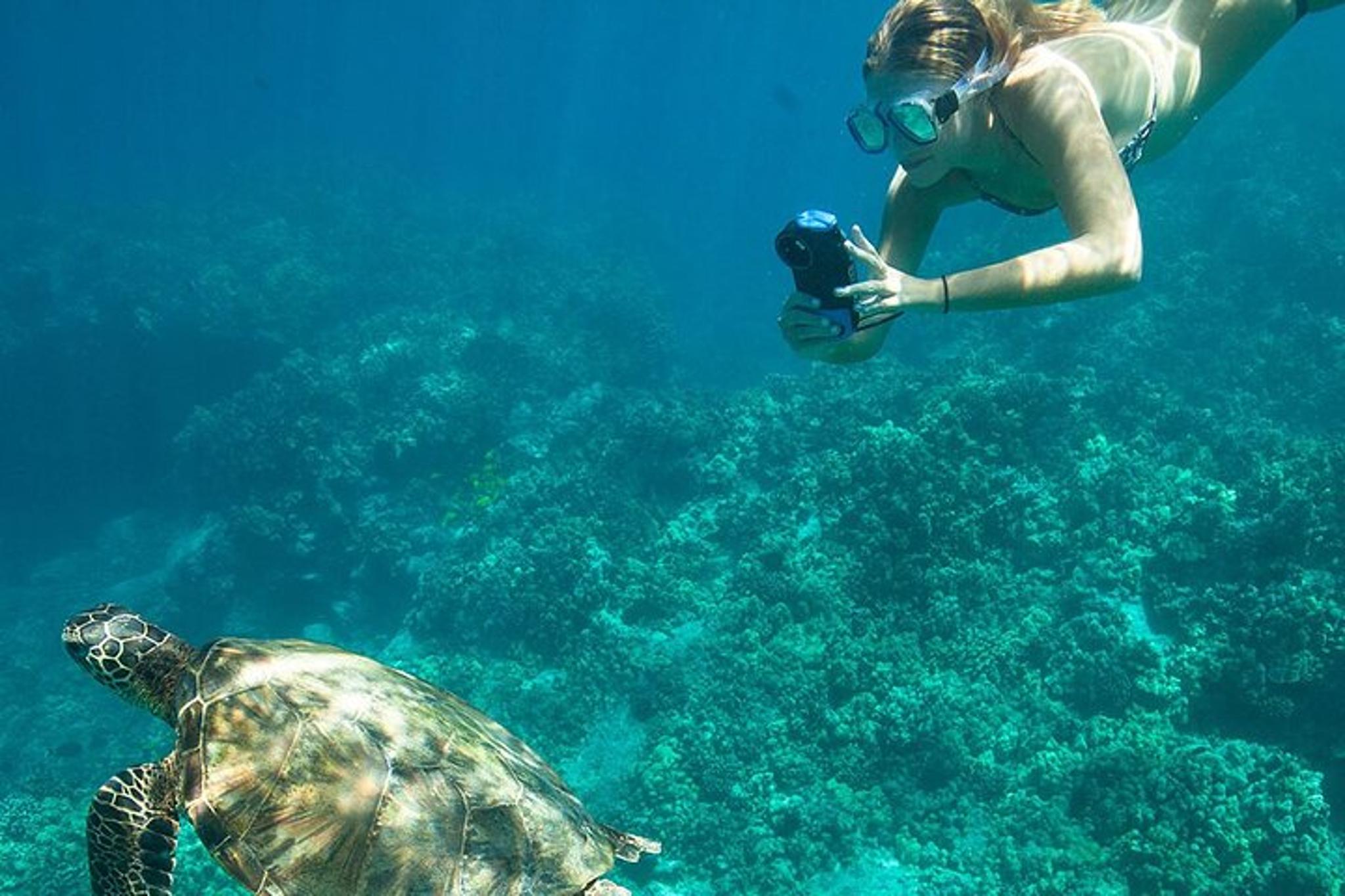 Kona Snorkeling Adventure Open Charter - Image 6