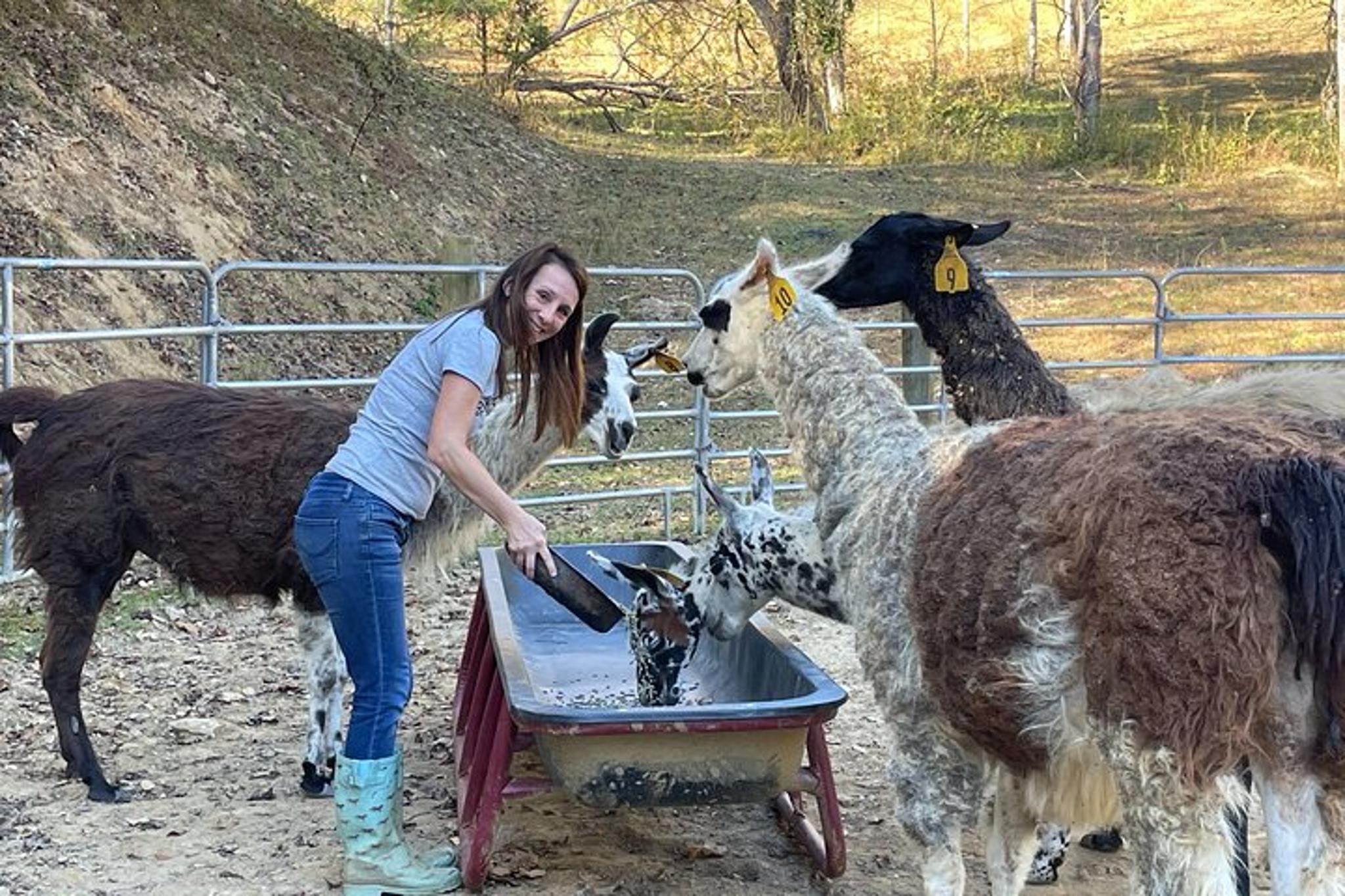 Buffalo Creek Ranch Tour Experience - Image 5