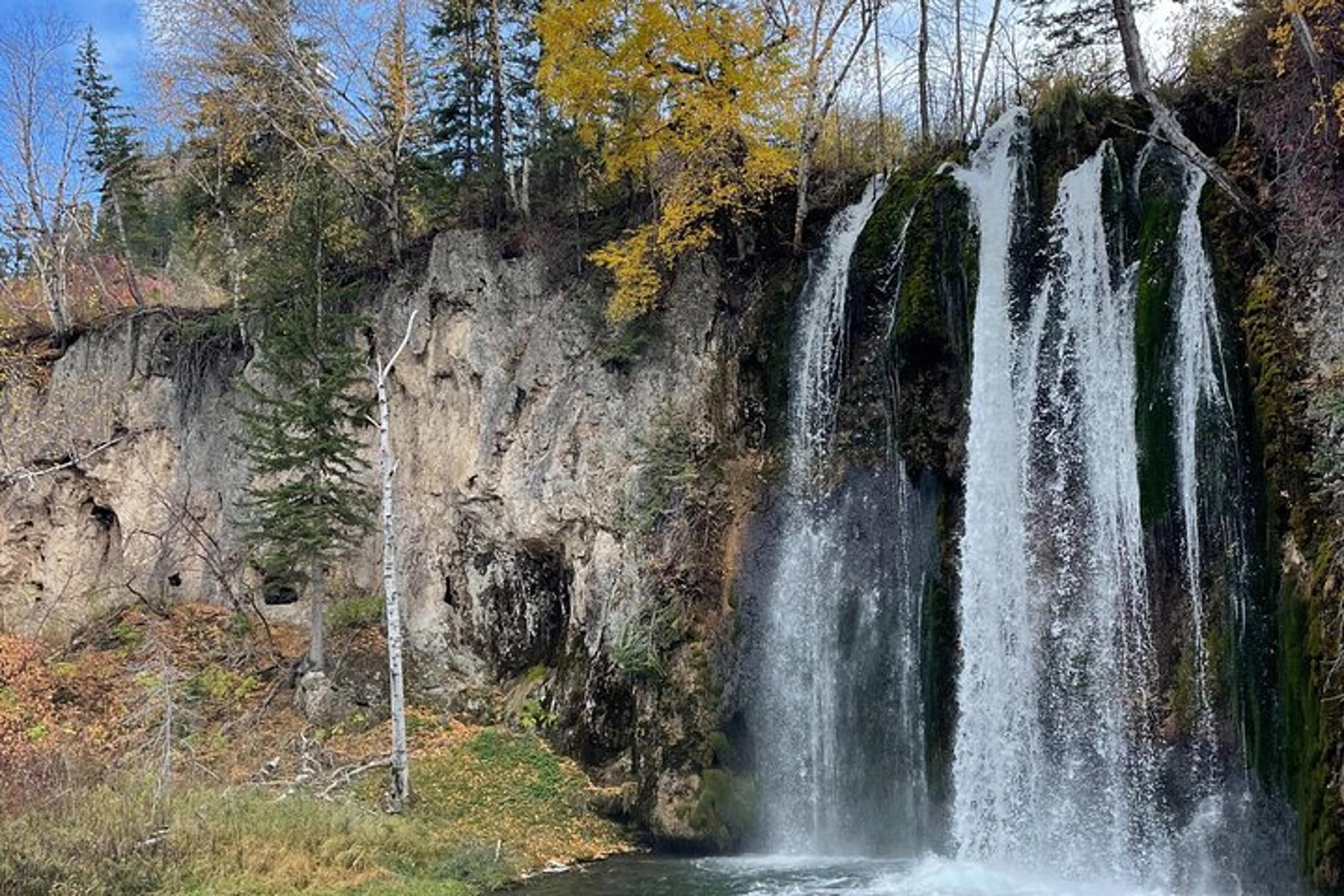 Devils Tower and Spearfish Canyon Tour - Image 6