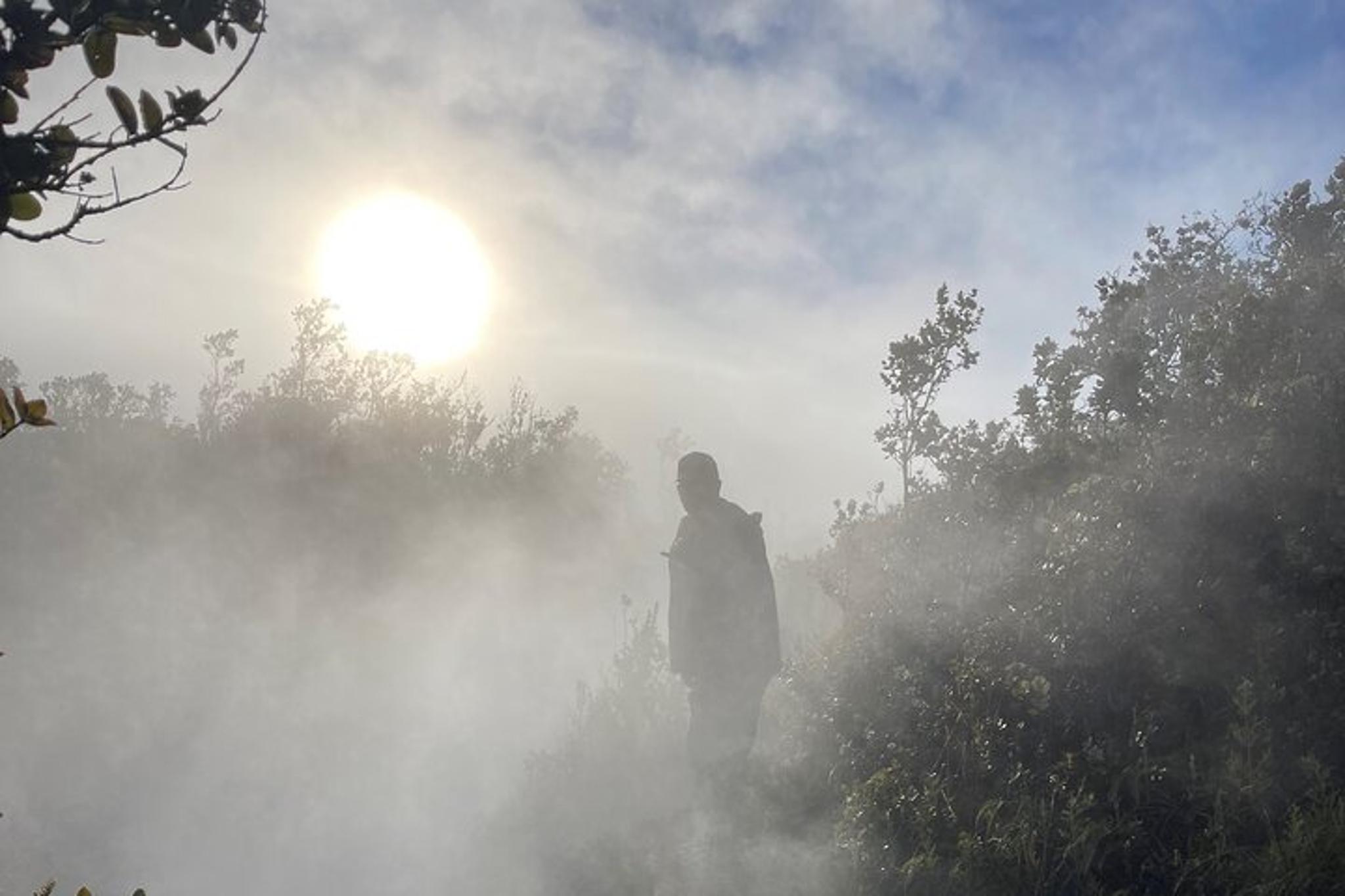 Hawaii Volcanoes National Park Private Tour - Image 4