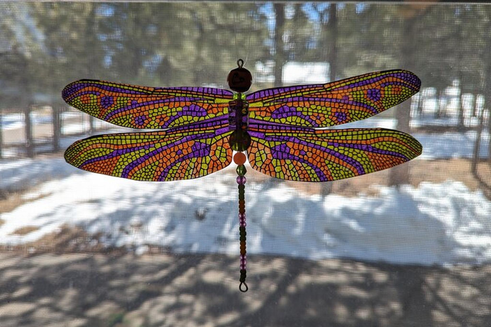 Estes Park Art Kit Experience - Image 6