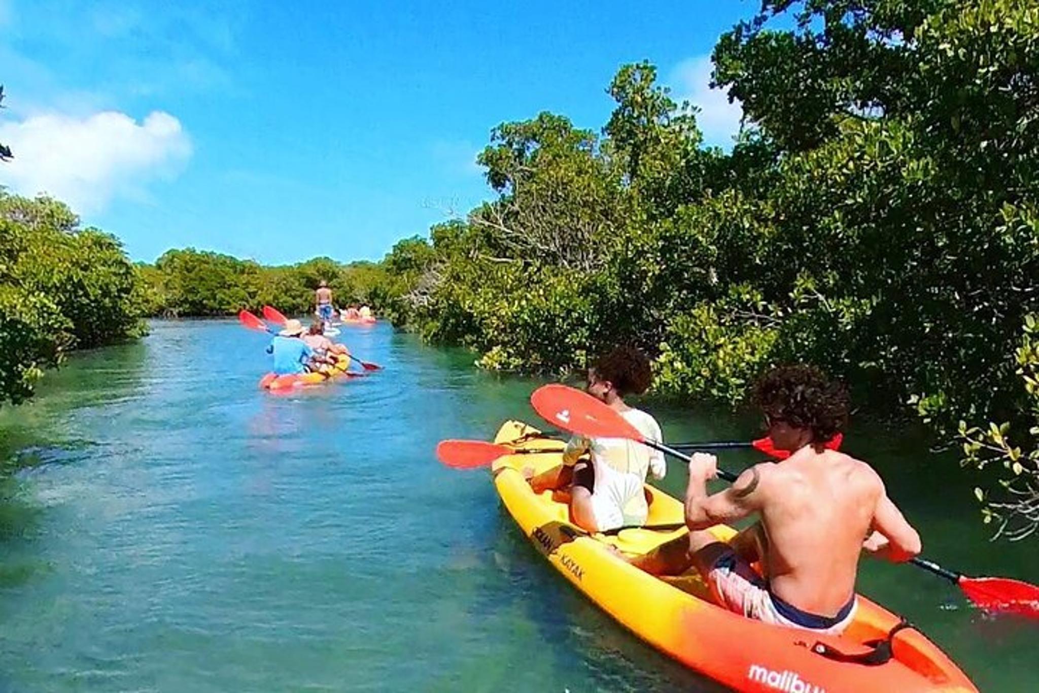 Key West Sandbar Kayak Charter with Lunch - Image 4