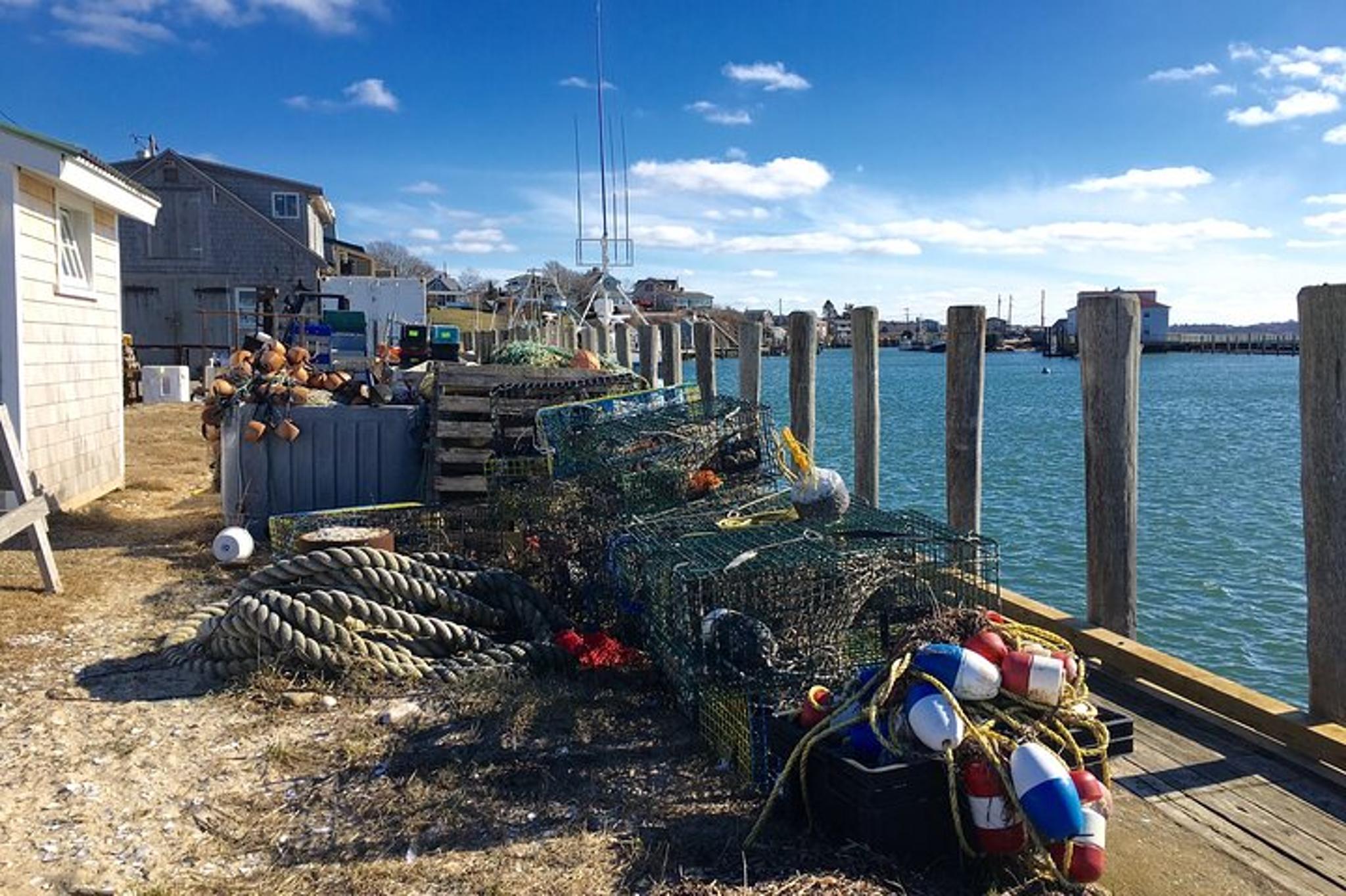 Martha's Vineyard Private Tour - Image 3