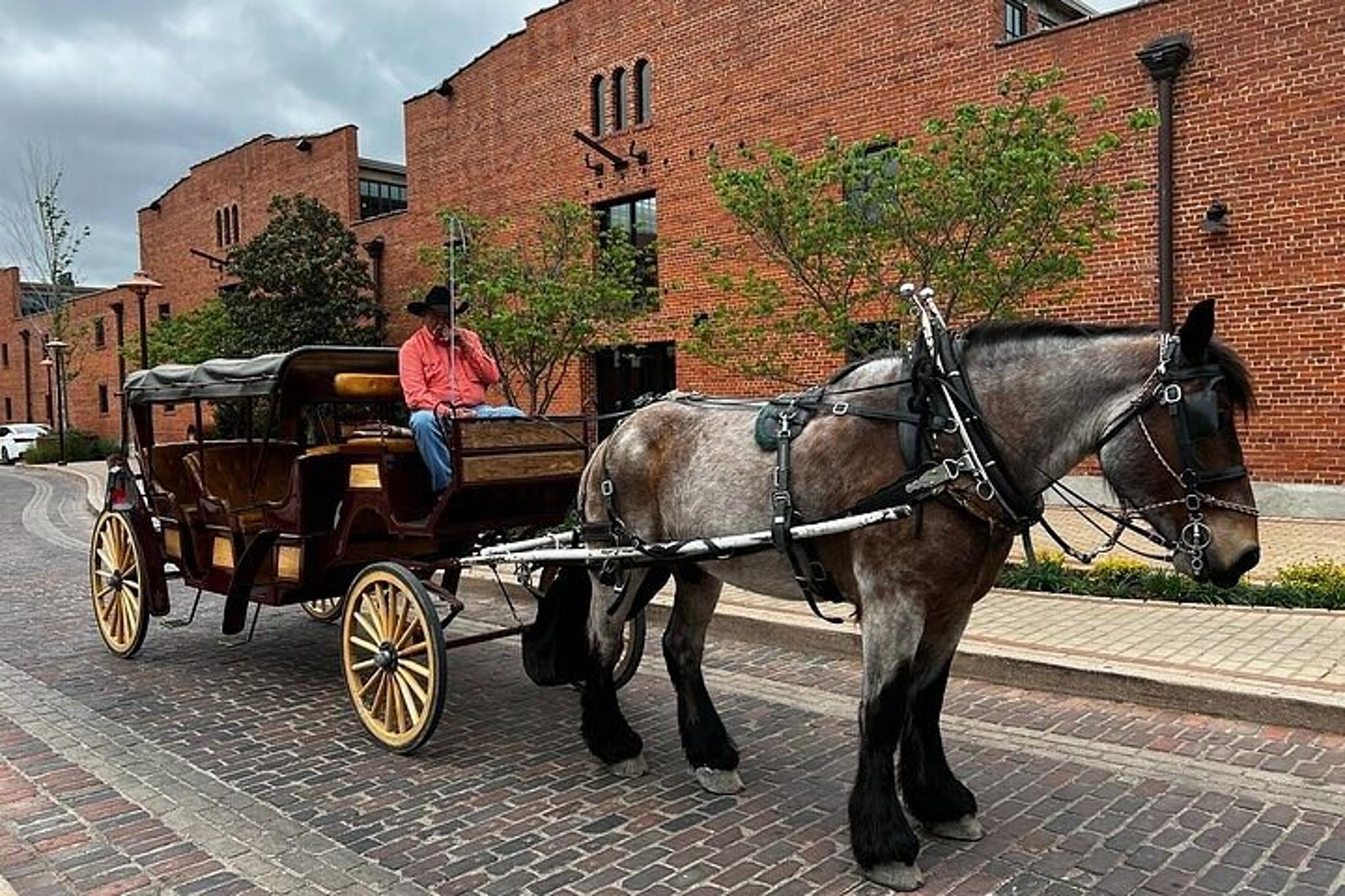 Fort Worth Highlights and Southfork Ranch Tour - Image 5