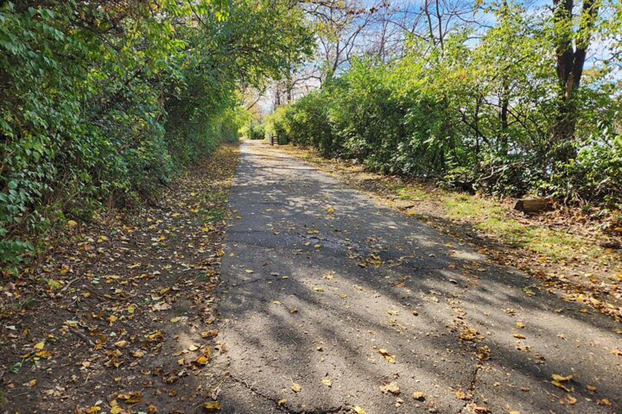 Wilmington E-Bike Tour of Airlie Gardens - Image 5