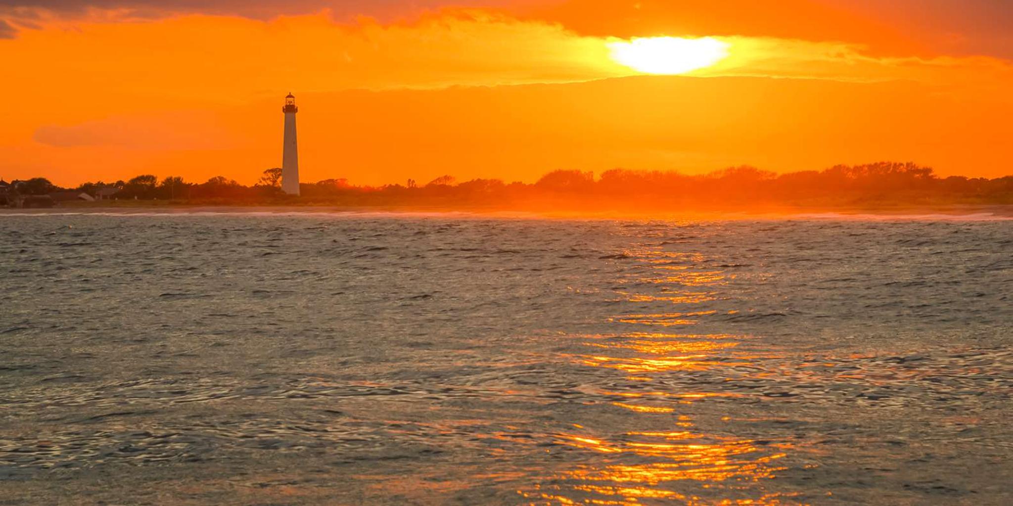 Cape May Whale and Dolphin Watching Cruise - Image 2