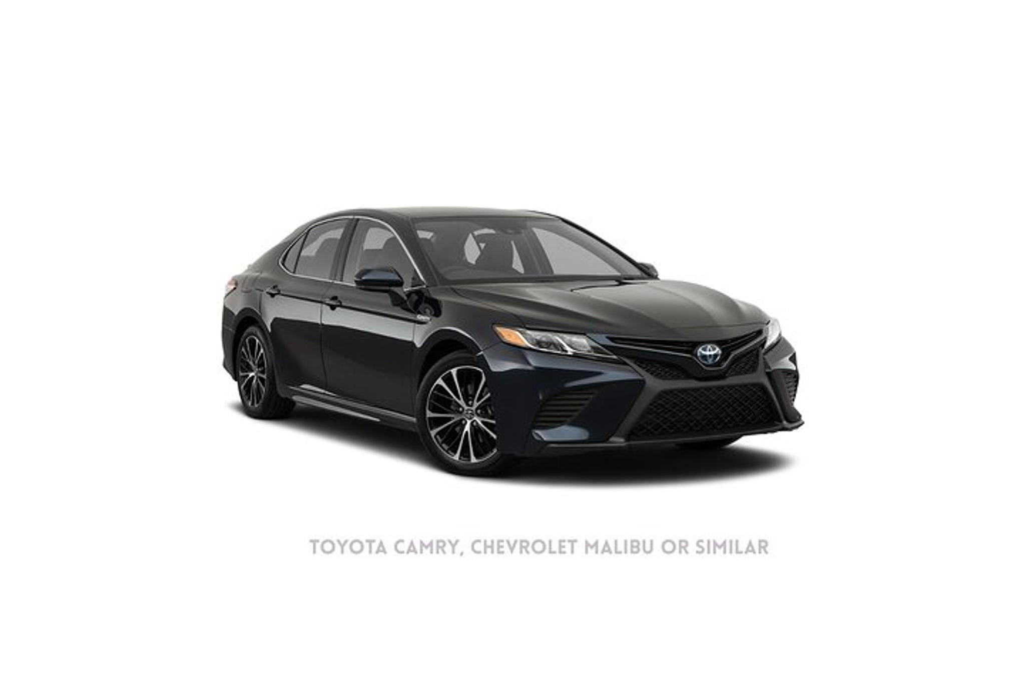 Newark Airport to New Jersey Hotels Private Transfer