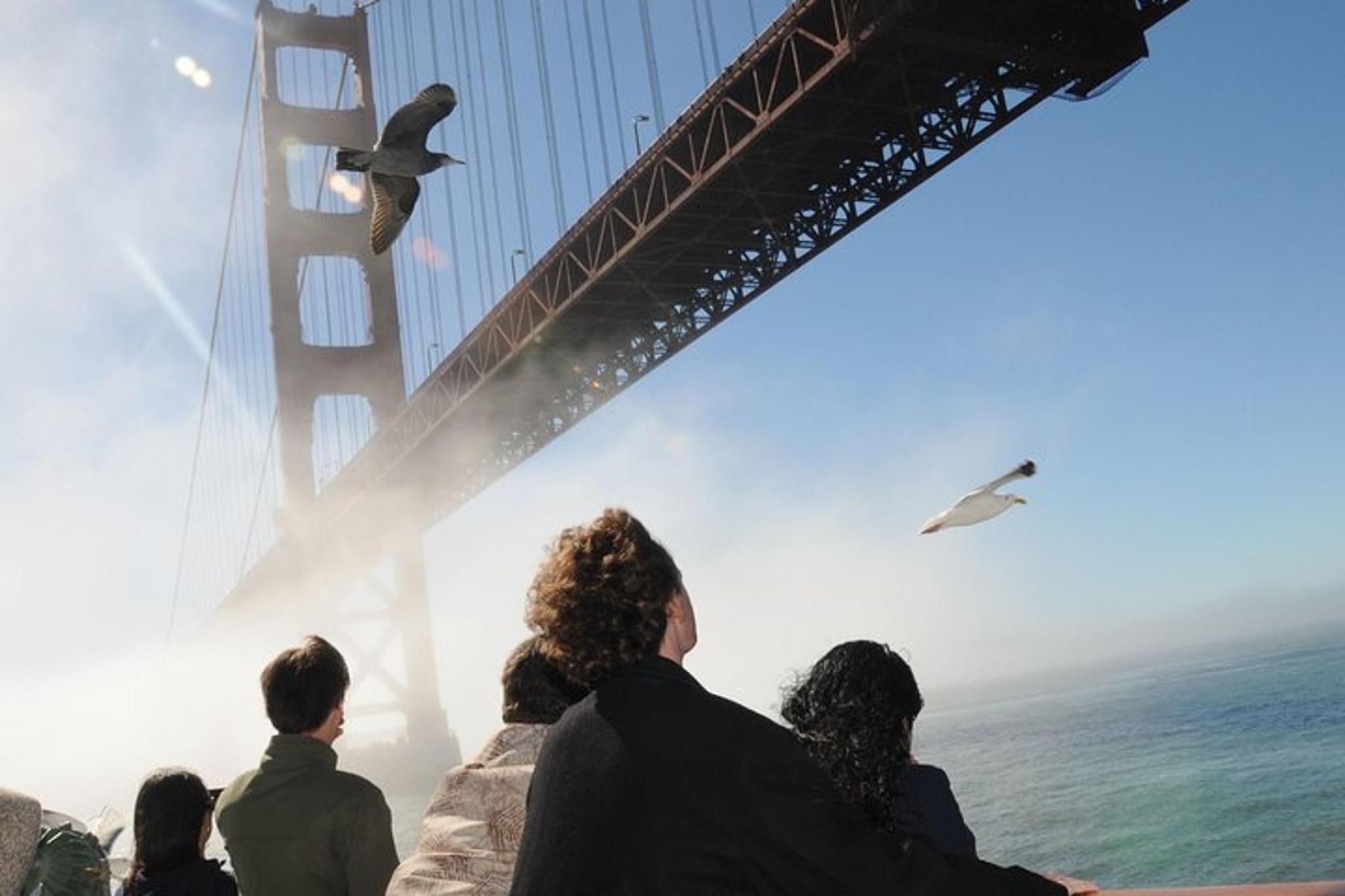 San Francisco Bay Brunch Cruise - Image 4