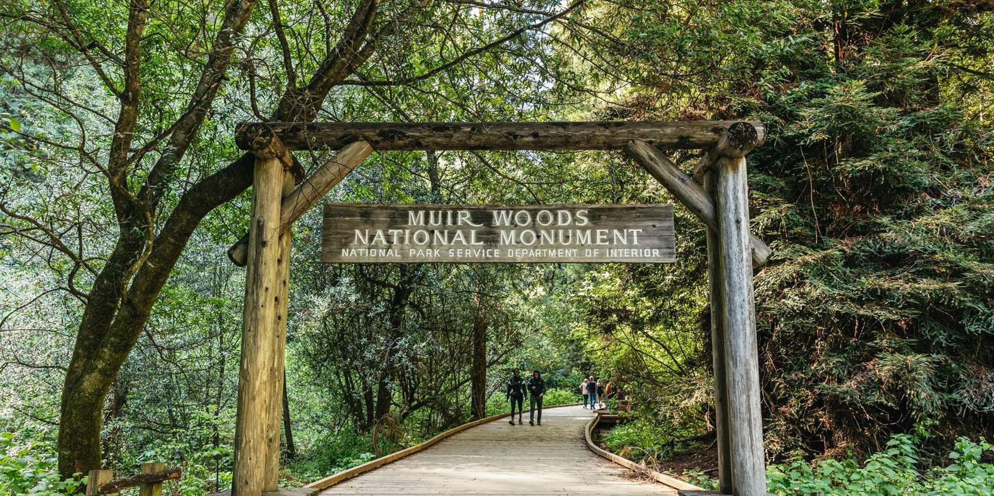 San Francisco Muir Woods Guided Tour 4.5 hr