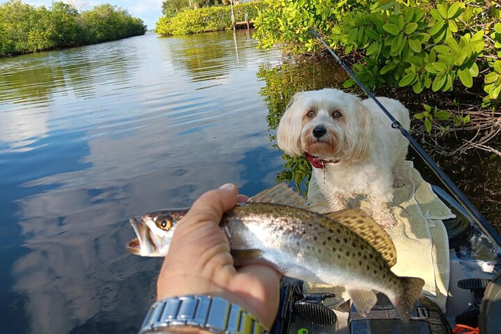 Merritt Island Fishing Kayak Rental 4 hr - Image 6