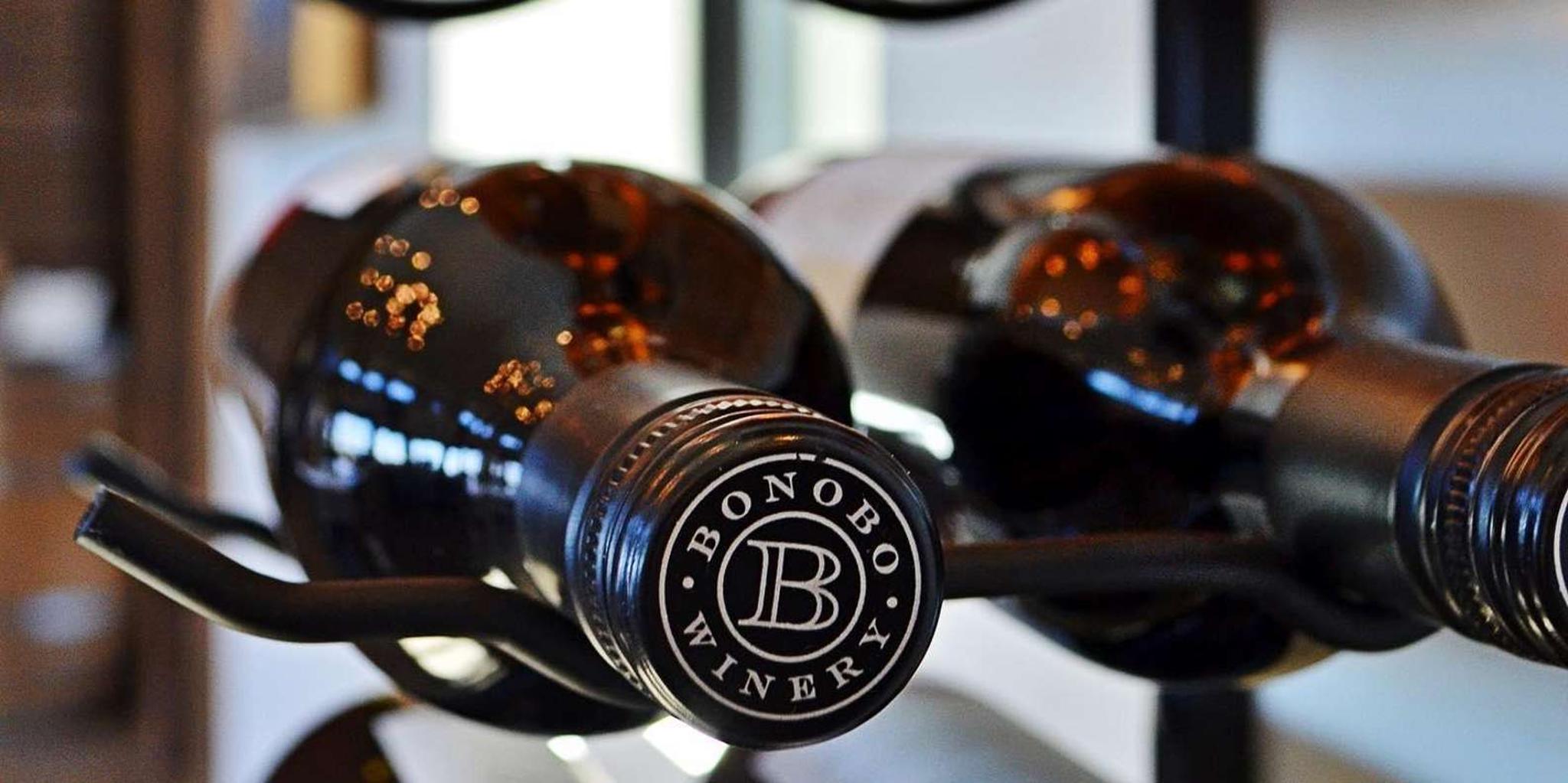 Traverse City Wine Tour on Old Mission Peninsula - Image 3