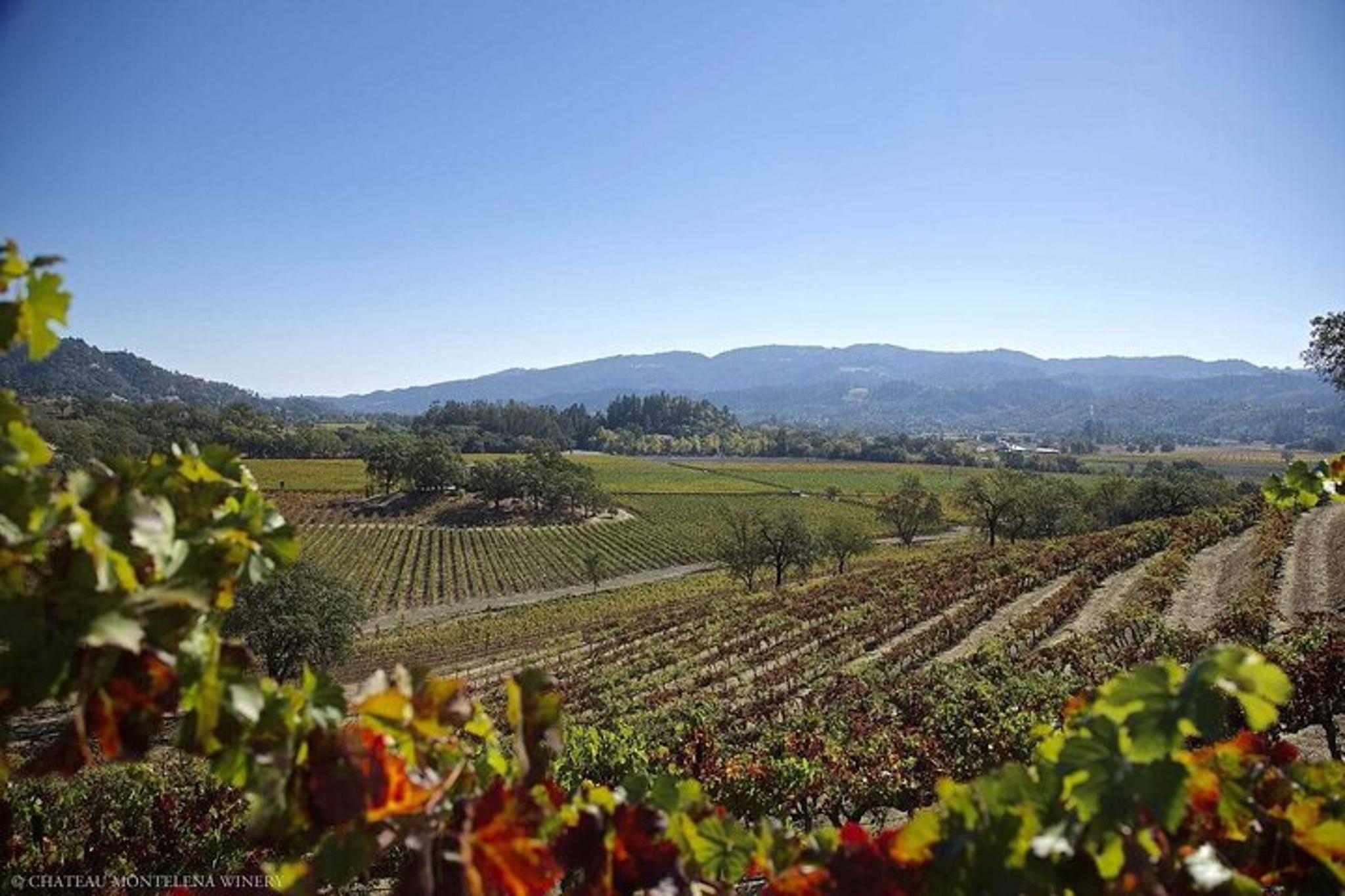 Sonoma and Napa Valley Private Limo Wine Tour - Image 6