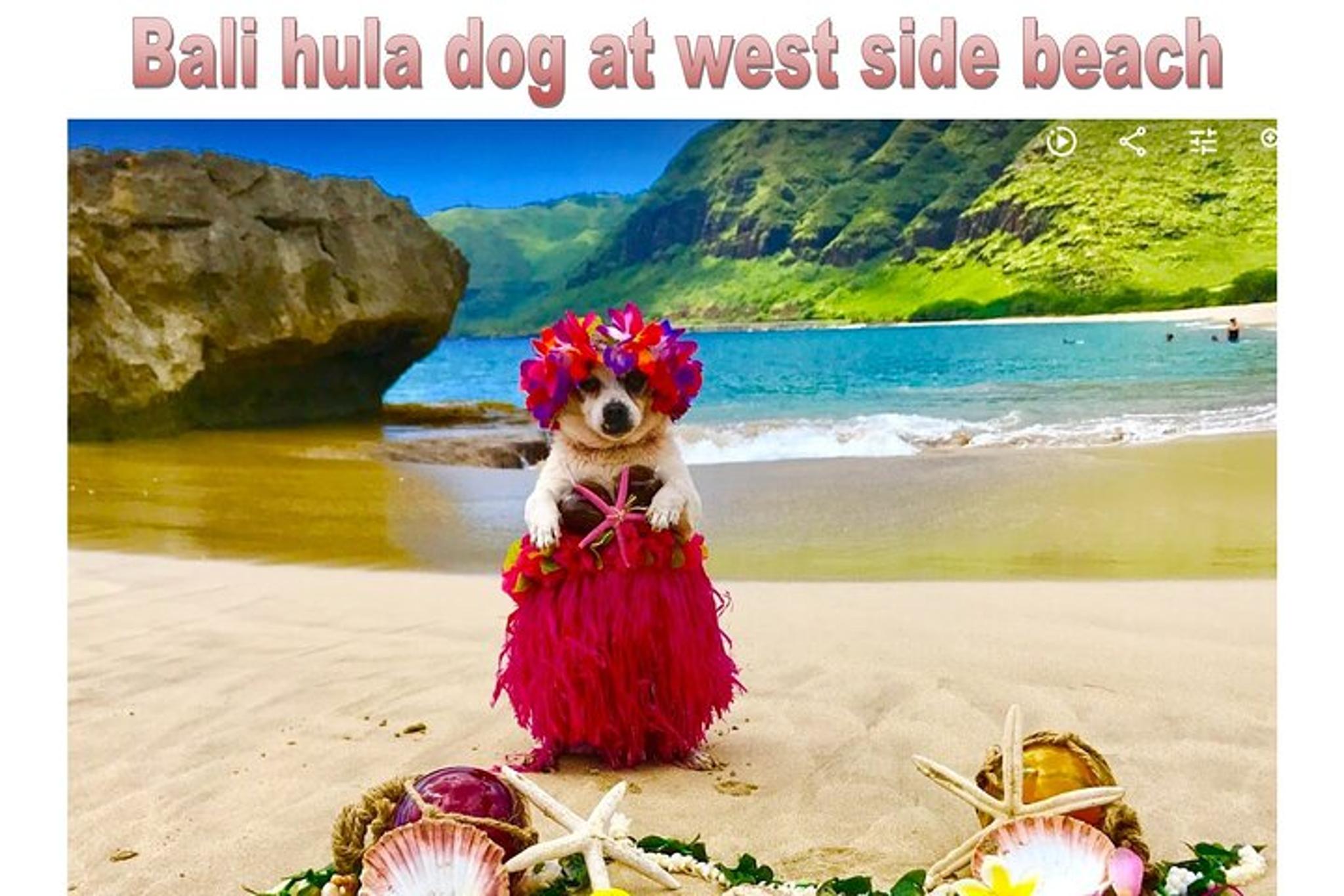 Hawaii Hidden Gems Tour - Image 6