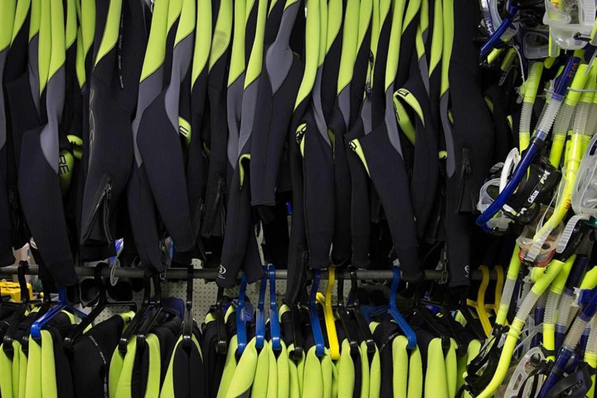 Crystal River Manatee Tour with Divemaster 3 hr - Image 5