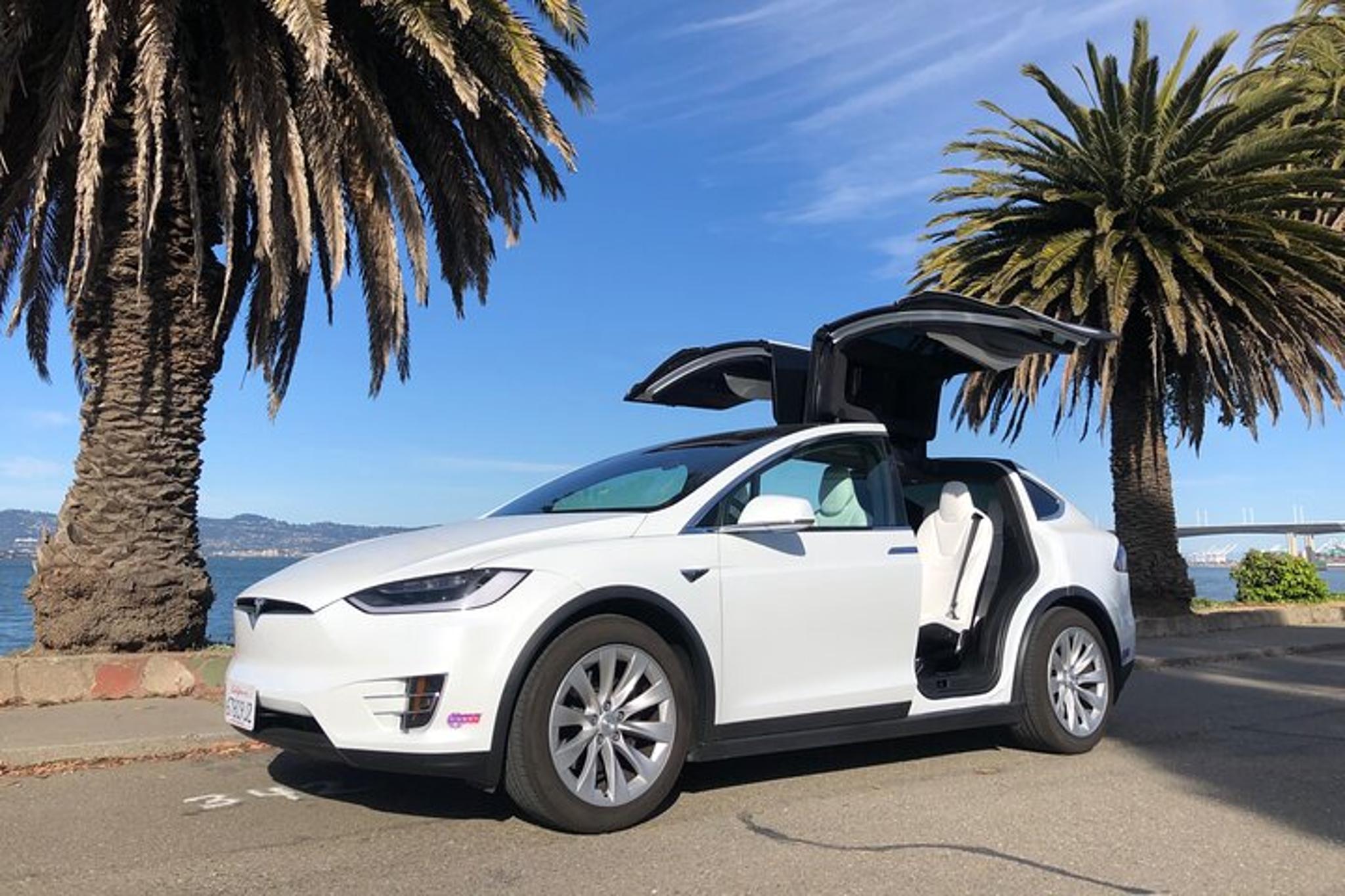 San Francisco Silicon Valley Private Tour by Tesla - Image 2