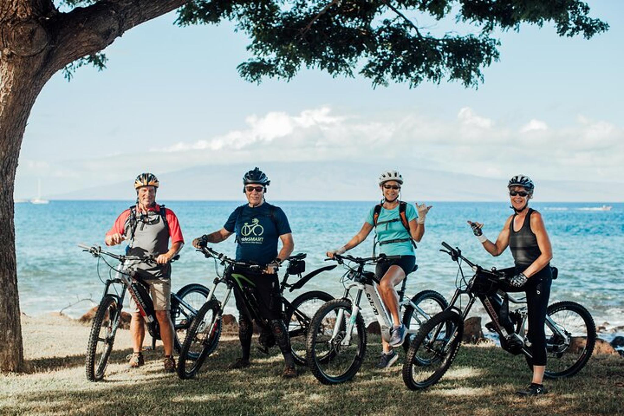West Maui Self-Guided Electric Bike and Snorkel Explorer - Image 6