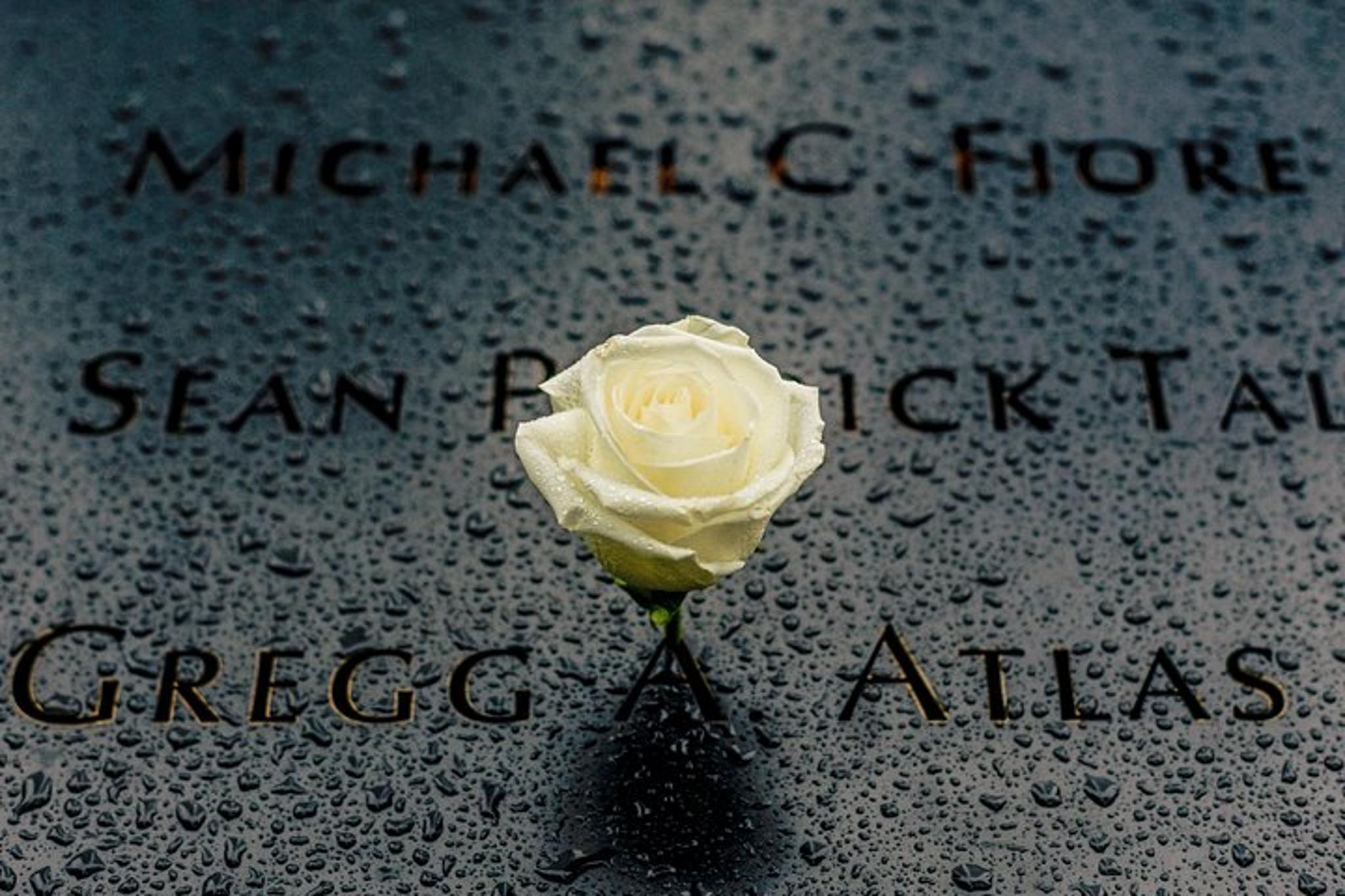 New York City 9/11 Memorial Walking Tour - Image 6