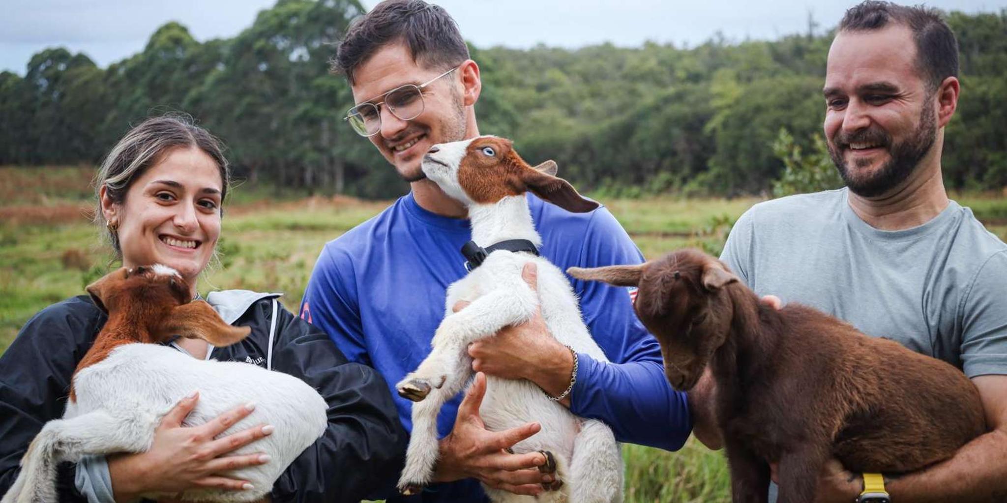 Big Island Baby Goat Experience - Image 3
