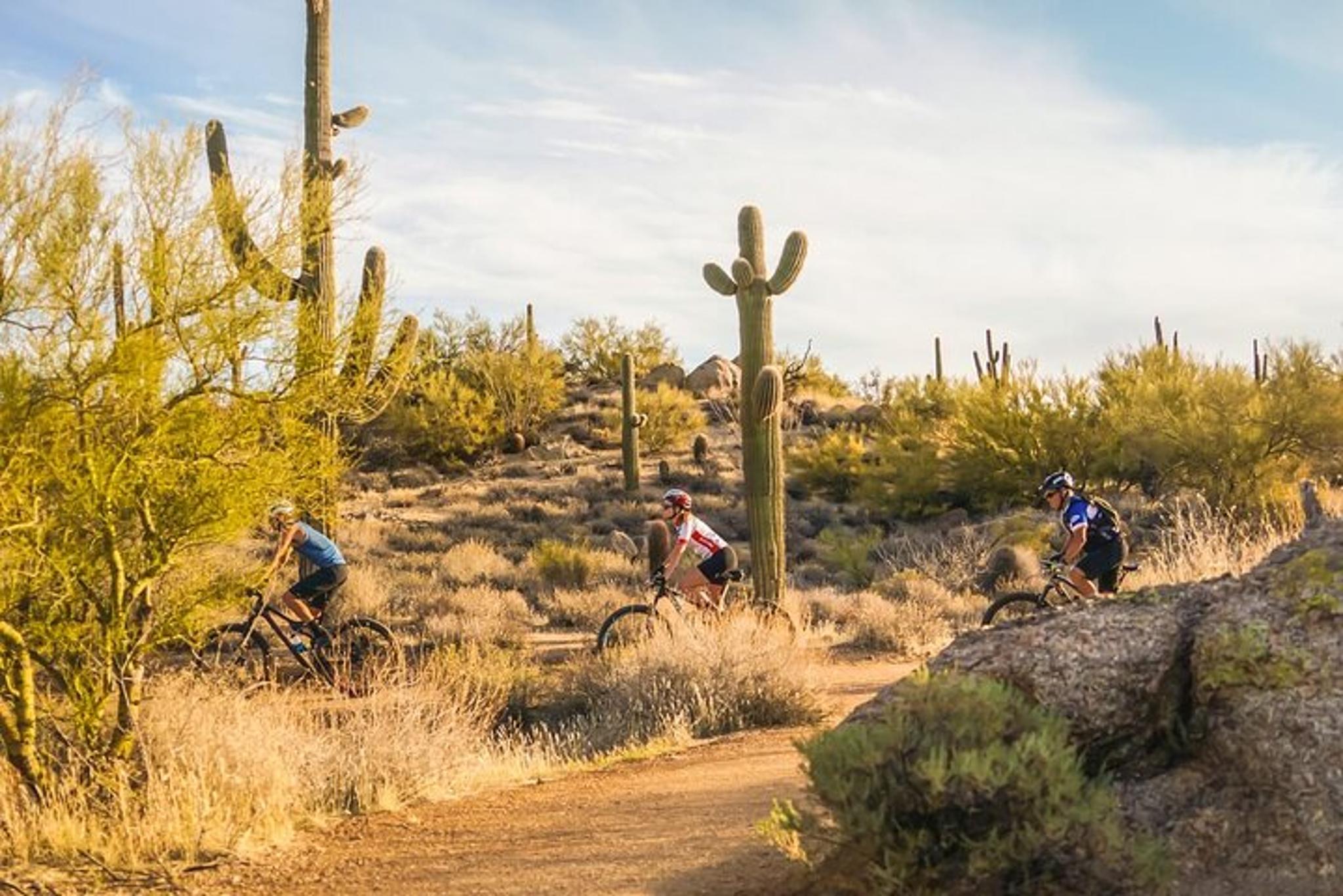 Scottsdale Mountain Bike Tour in Sonoran Desert - Image 3