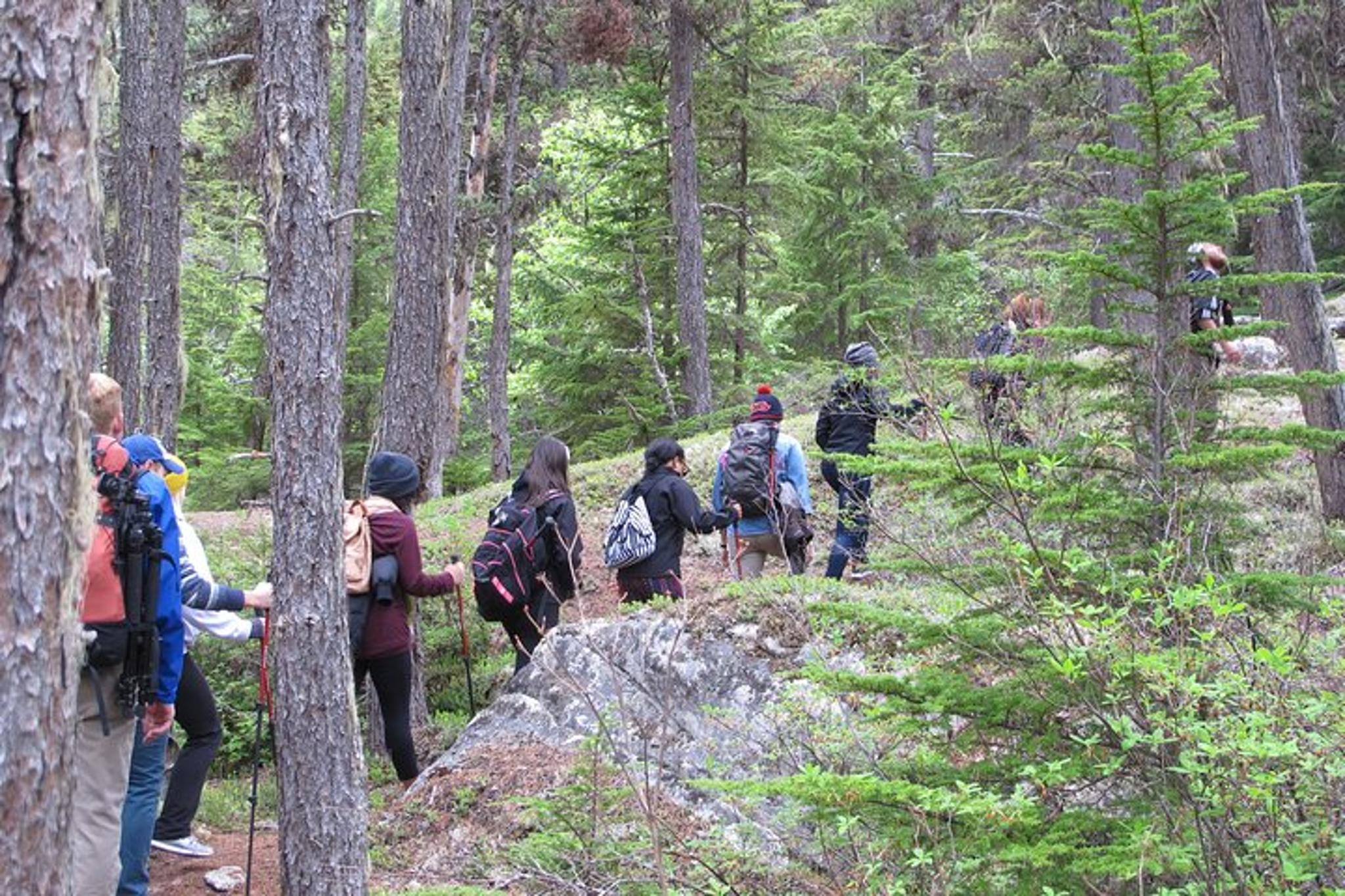 Skagway Adventure Hike - Image 4