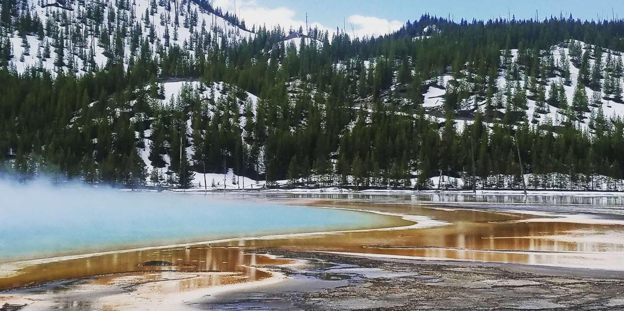 Yellowstone Lower Loop Day Tour from Jackson - Image 6