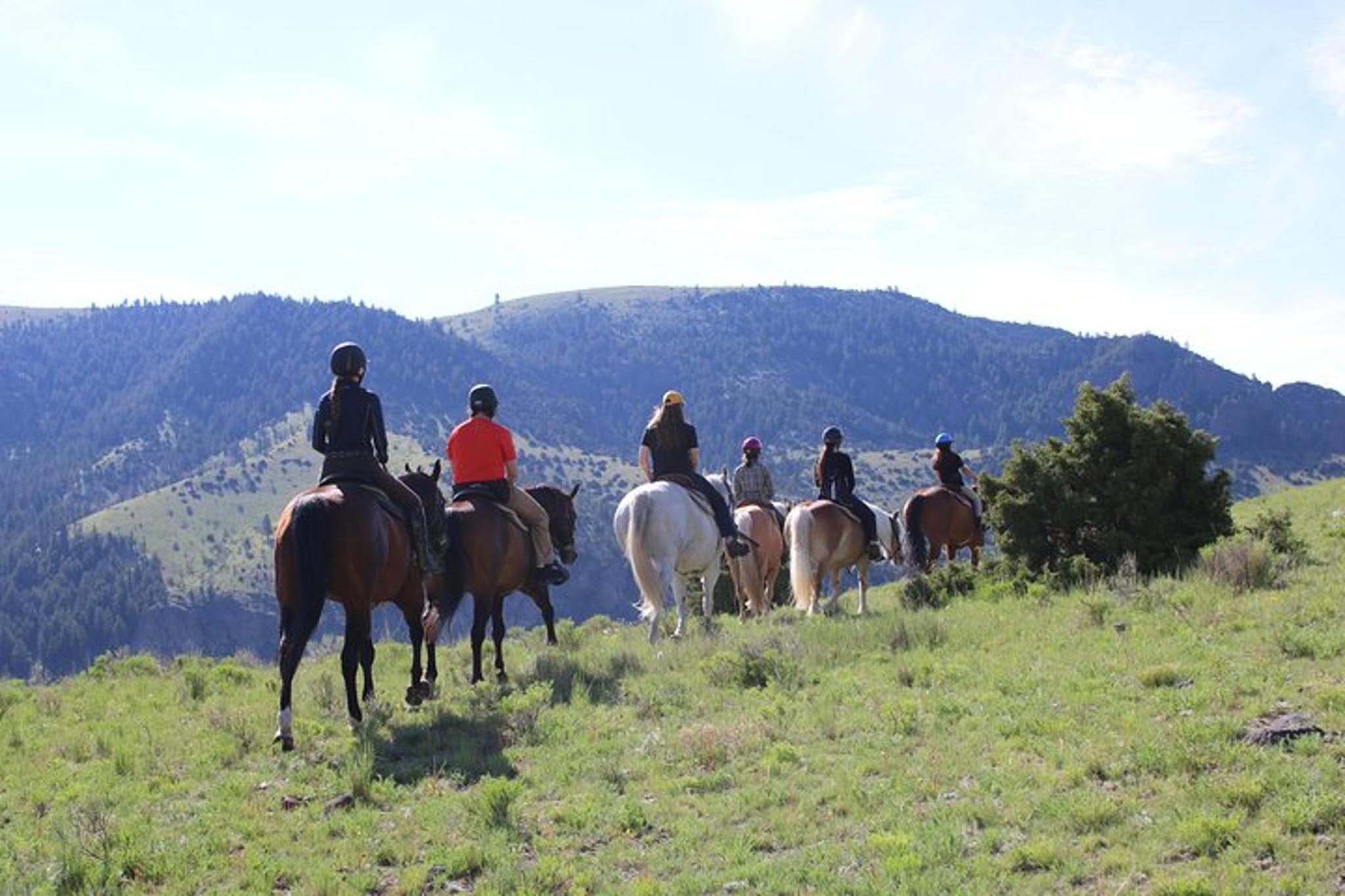 Montana Trail Ride in Paradise Valley 2 hr - Image 4
