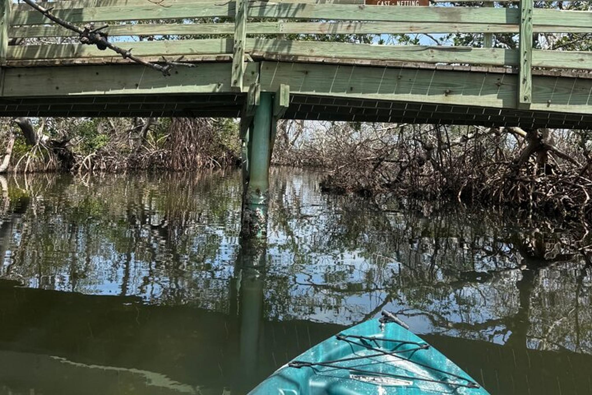 Ruskin Mangrove Tunnel Kayak Tour 3 hr - Image 2