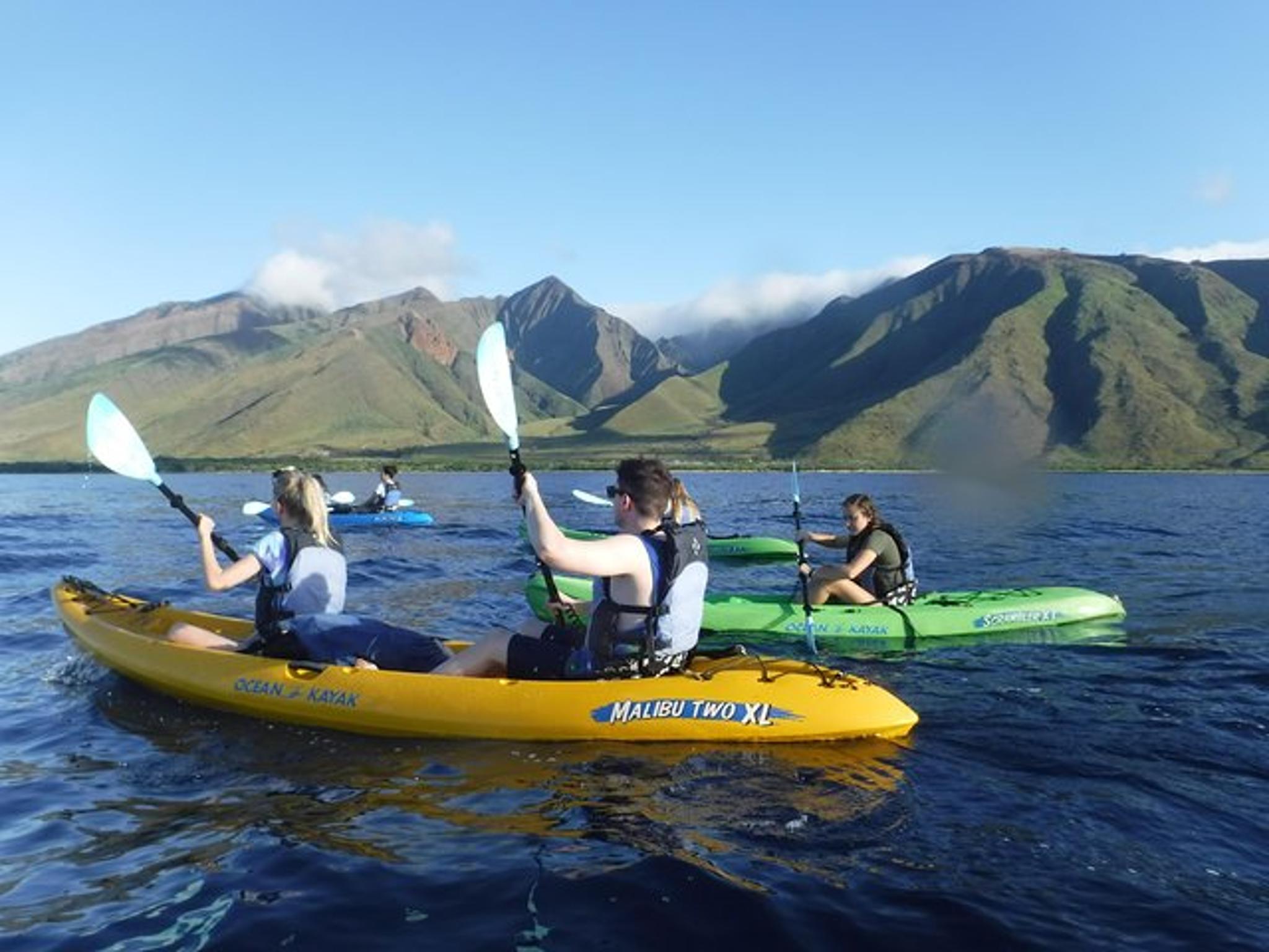 Maui Kayak, Snorkel, and Surf Adventure - Image 3