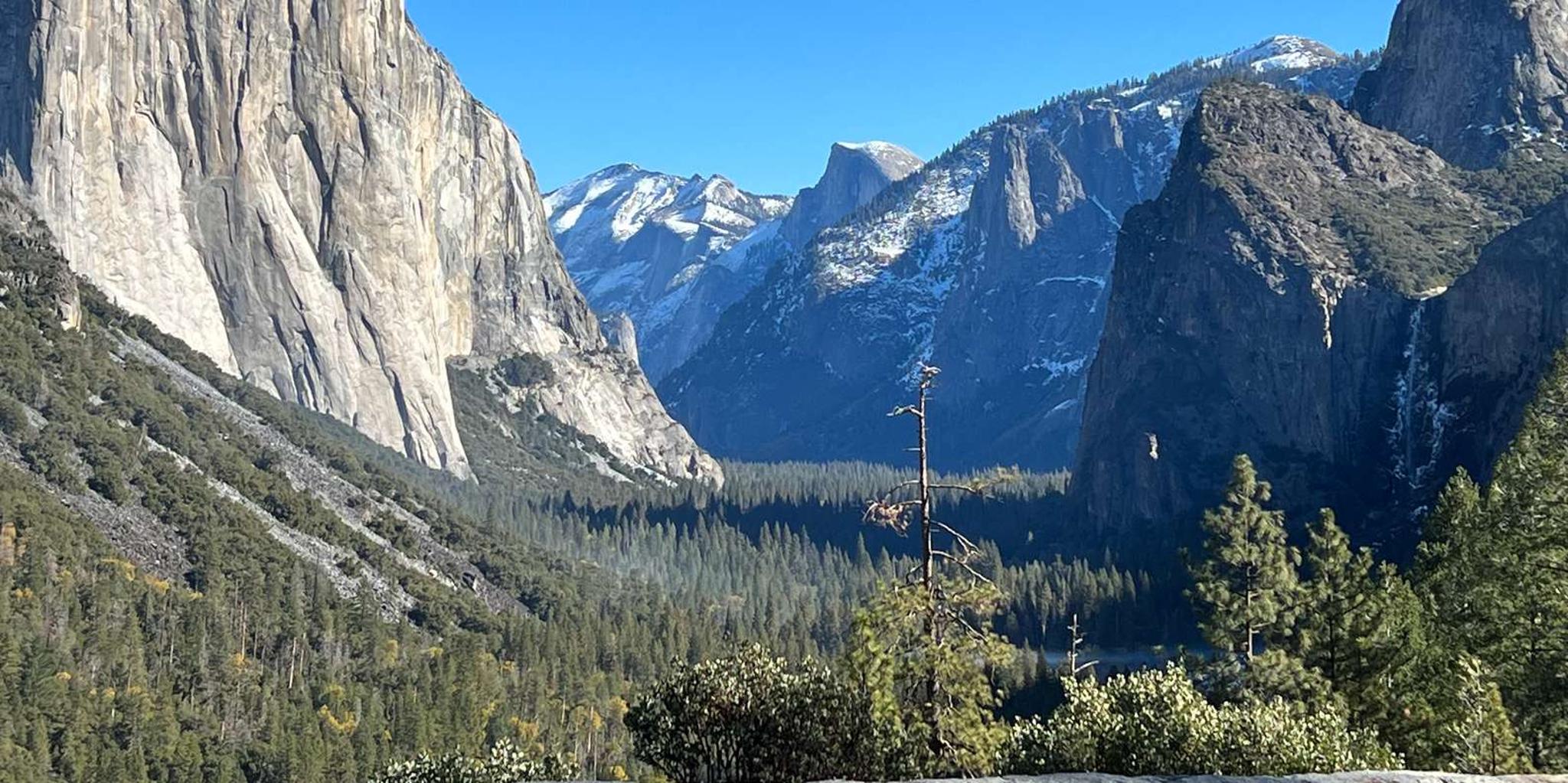 San Francisco Yosemite Private Full-Day Tour