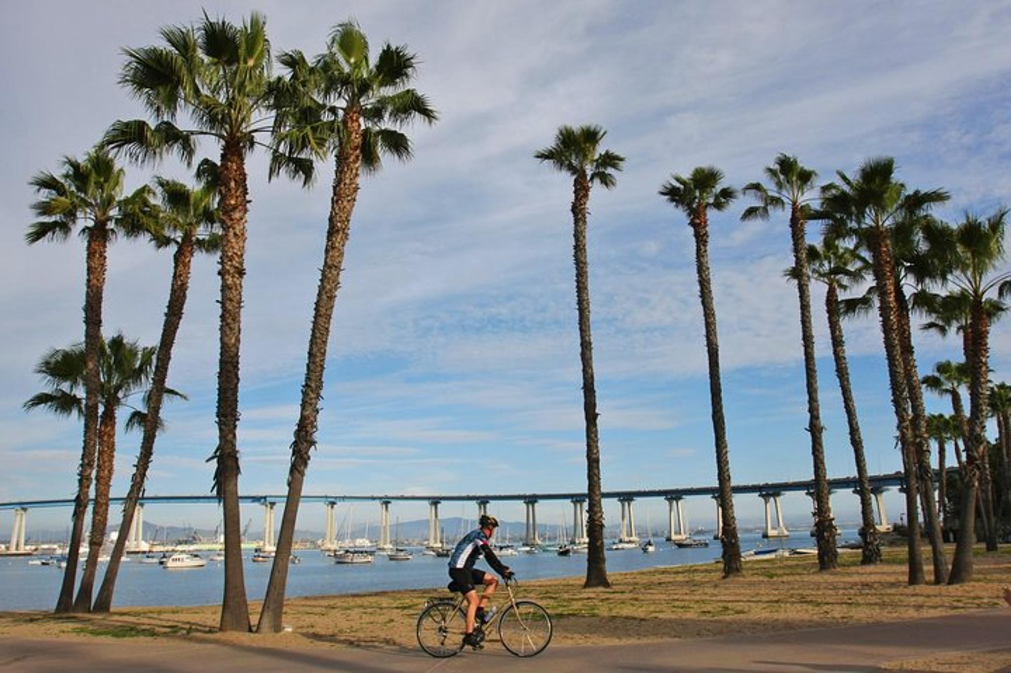 San Diego Coastal Gems Scenic Tour - Image 3