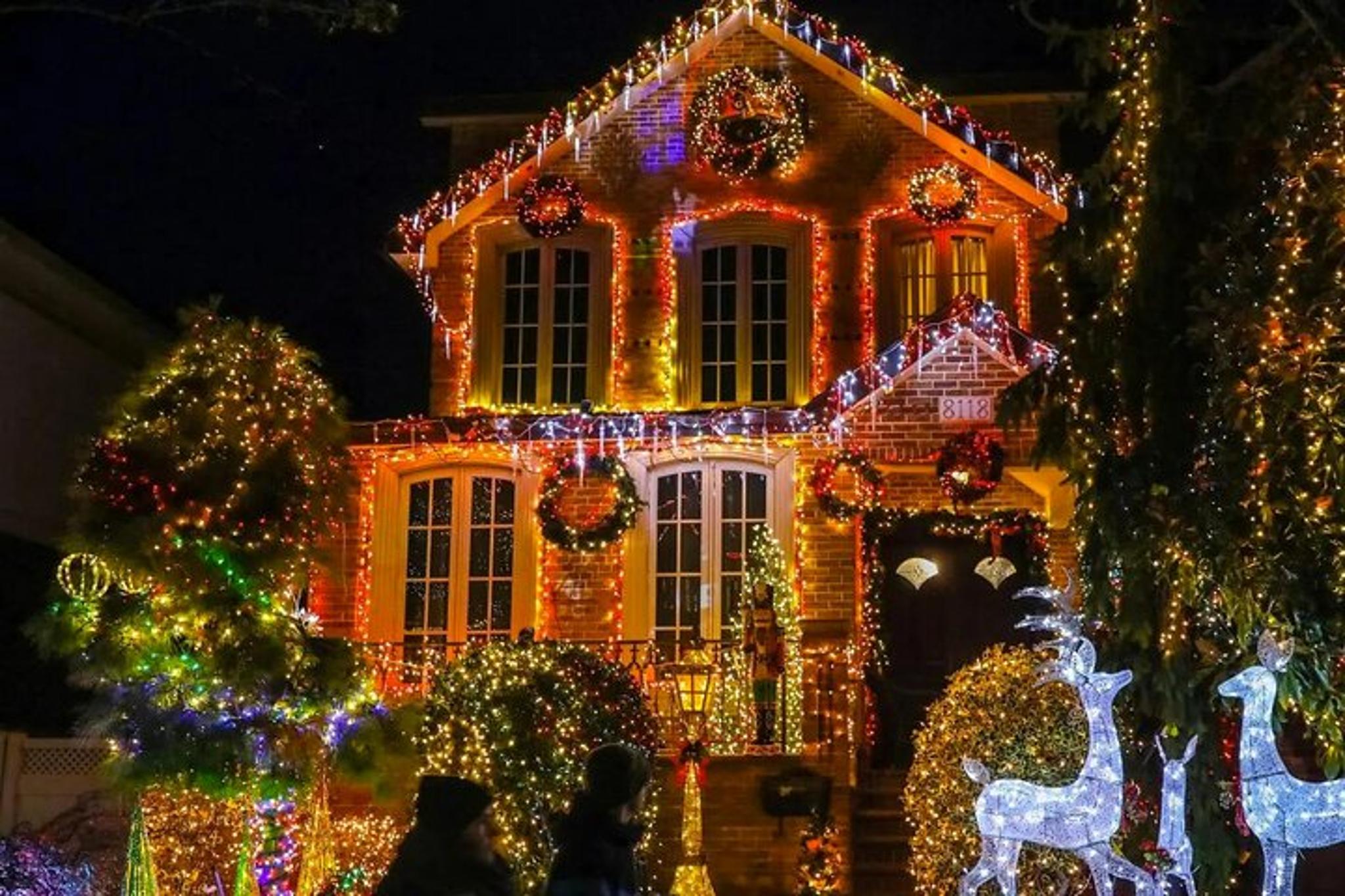 Brooklyn Dyker Heights Christmas Lights Tour - Image 3