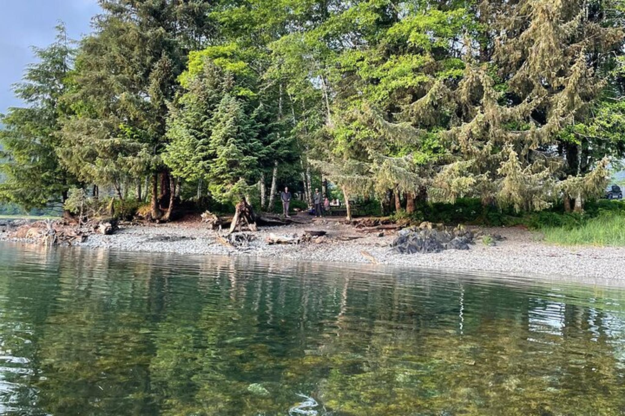 Sitka Nature Walk in Tongass National Forest - Image 3