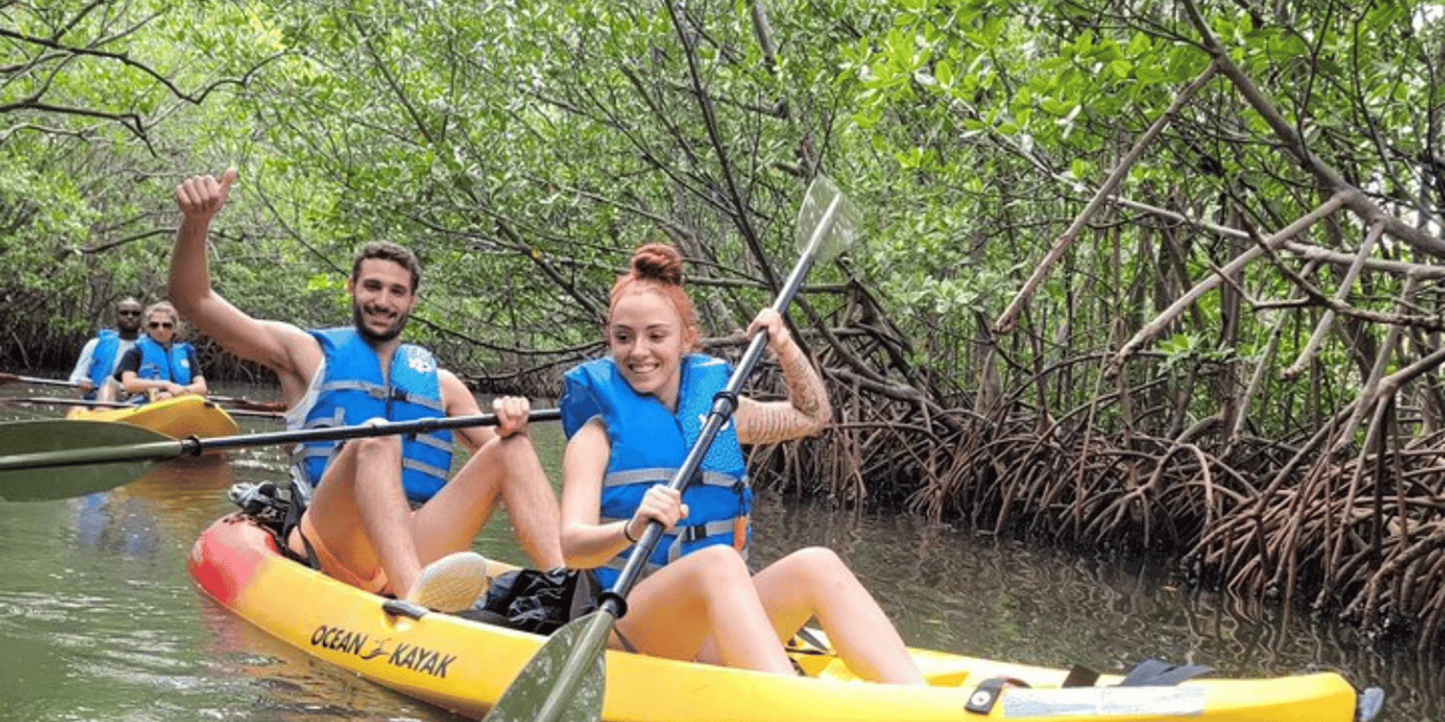 Miami Mangrove Exploration on SUP/Kayak - Image 2