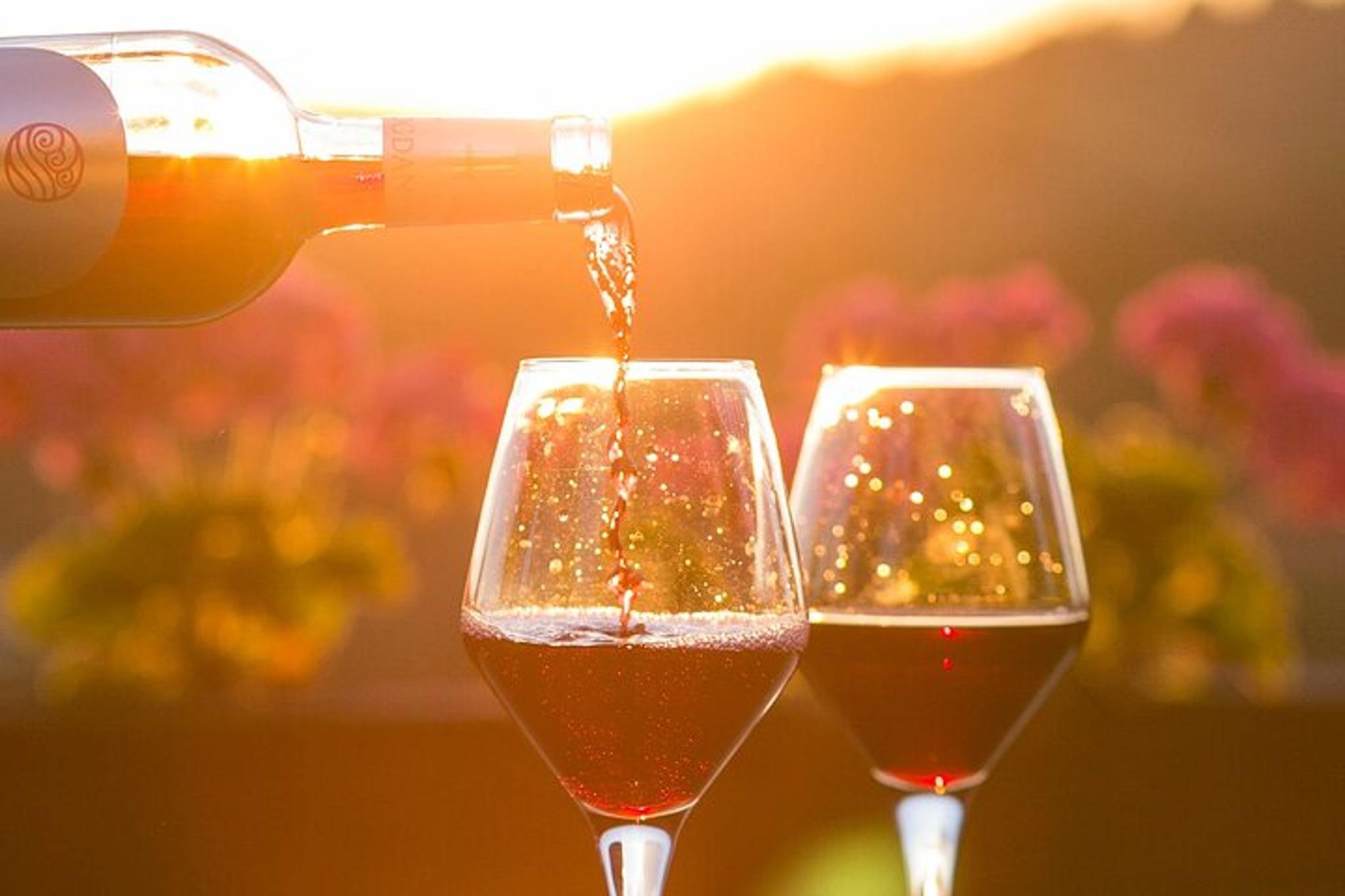 Traverse City Sunset Wine Tour on Old Mission Peninsula - Image 2
