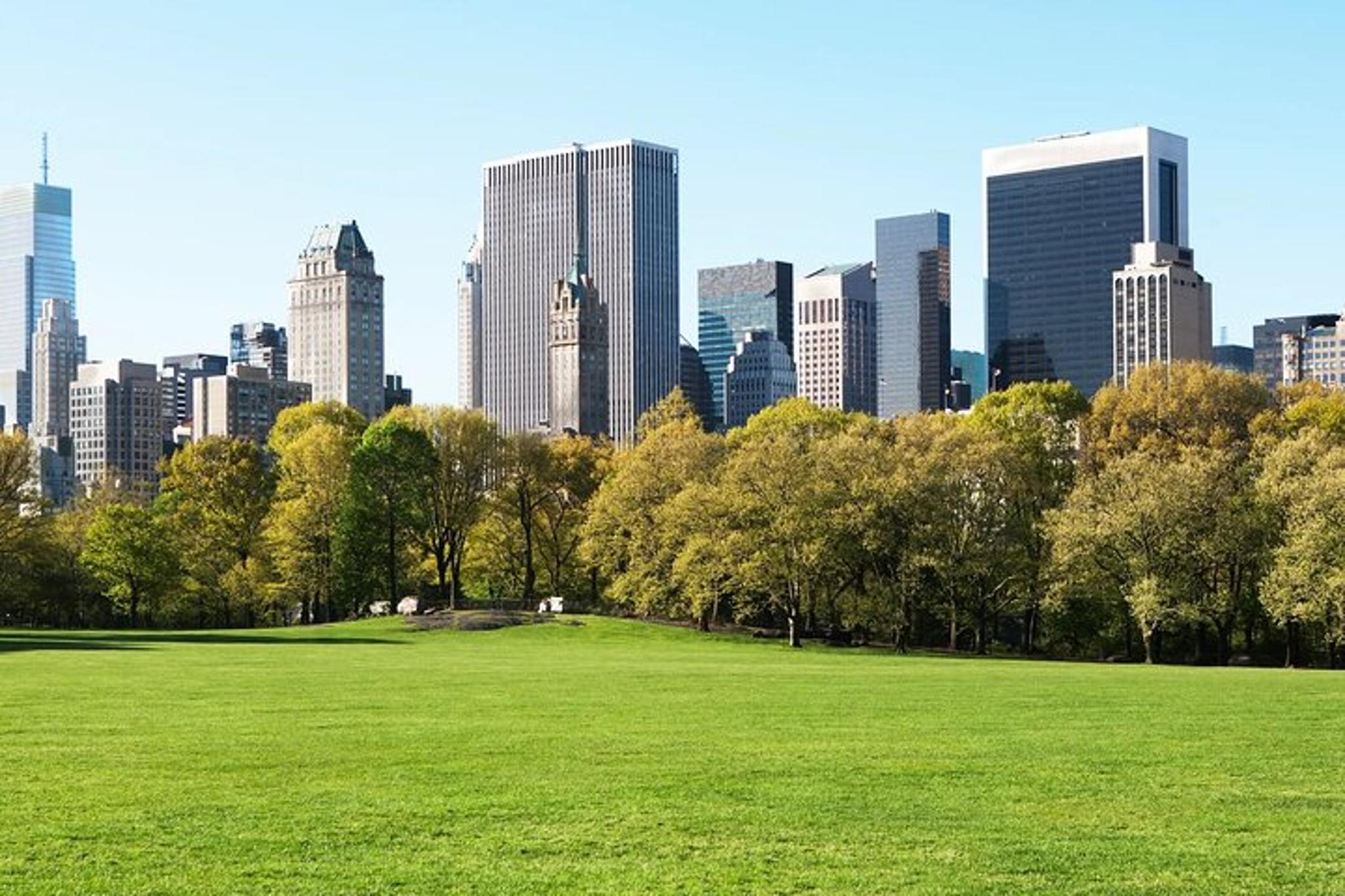 New York City Walking Tour with Metropolitan Museum - Image 5