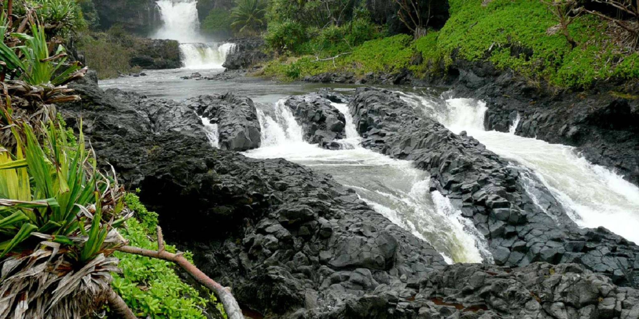 Maui Full-Day Hiking Tour on Hana Highway