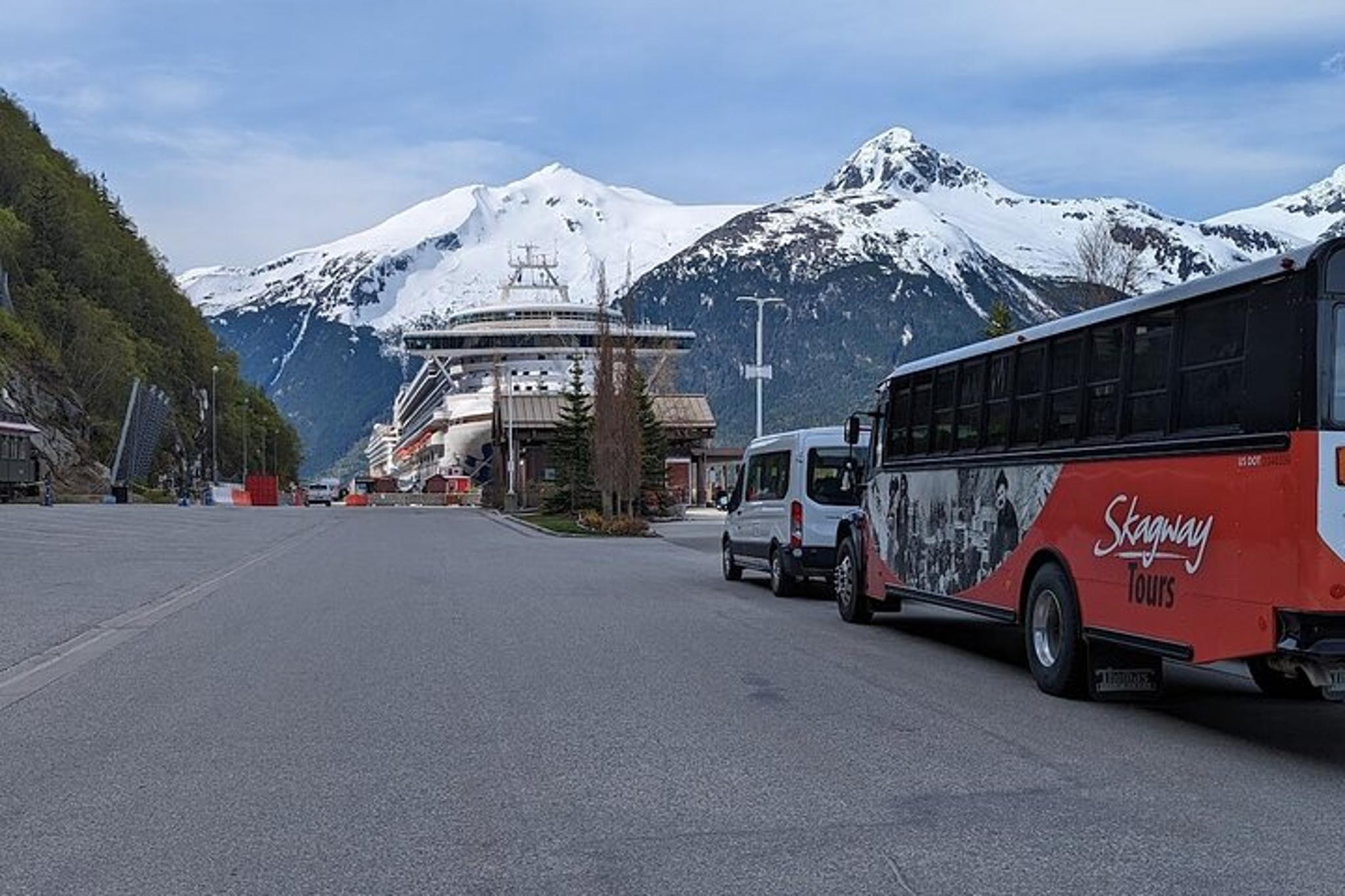 Skagway Husky Puppy Playtime & Summit Tour - Image 5