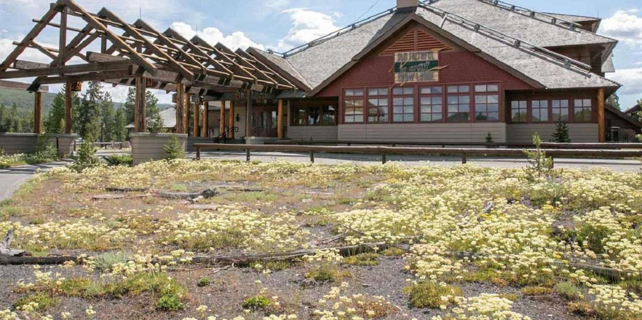 Yellowstone & Grand Teton 4-Day Tour - Image 5