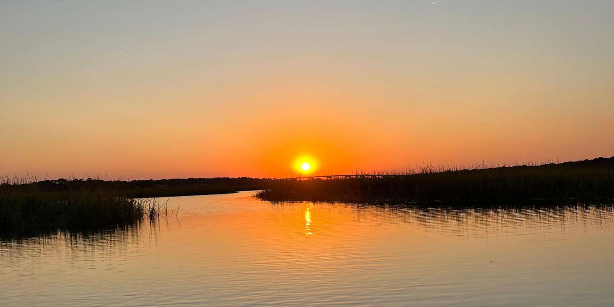 Hilton Head Kayak Dolphin Nature Tour 2 hr - Image 6