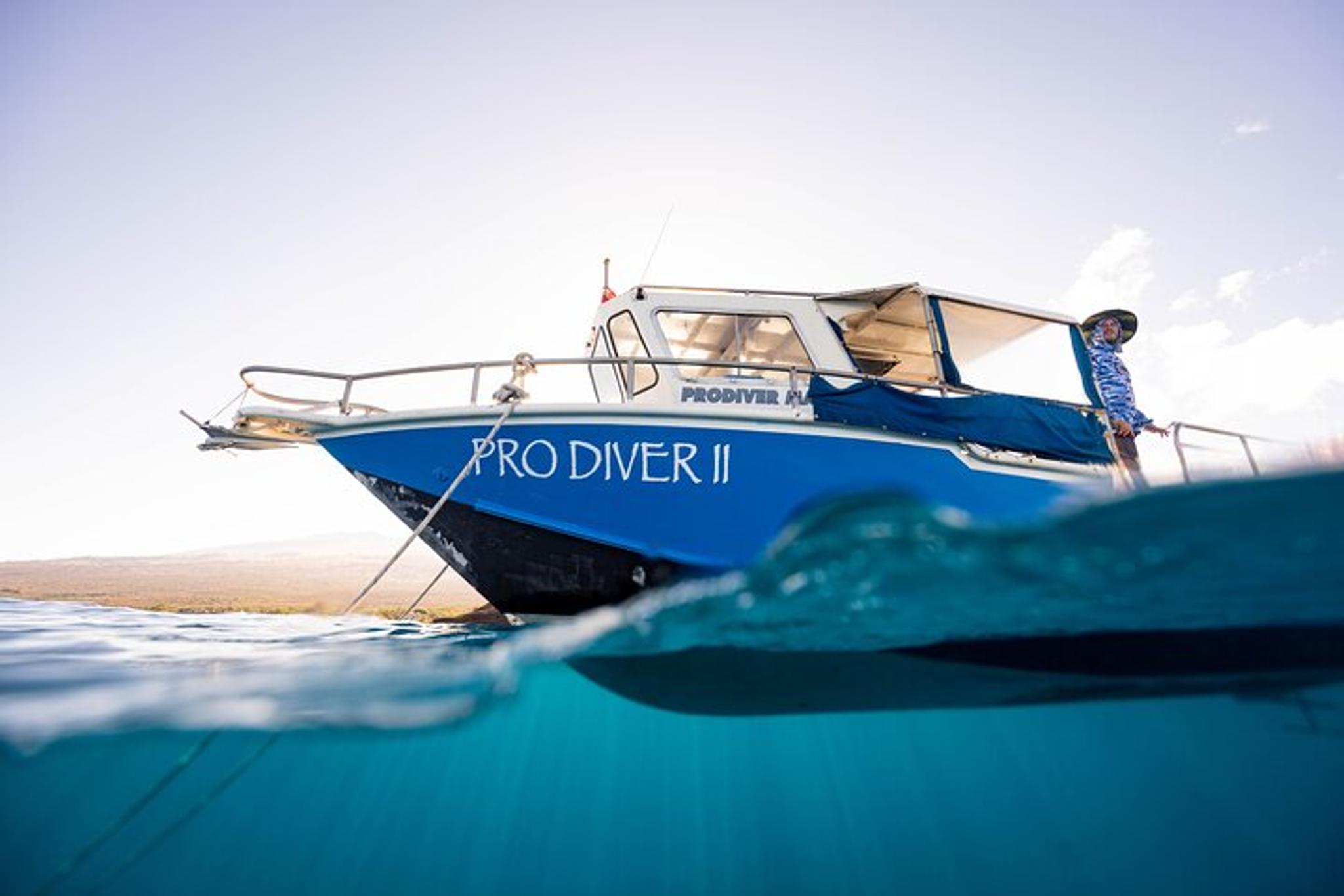 Maui Scuba Diving at Molokini Crater 3 hr - Image 2
