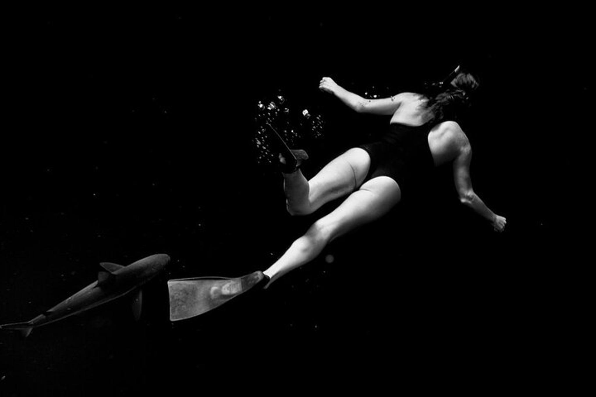 Oahu Shark Dive North Shore 2 hr - Image 4