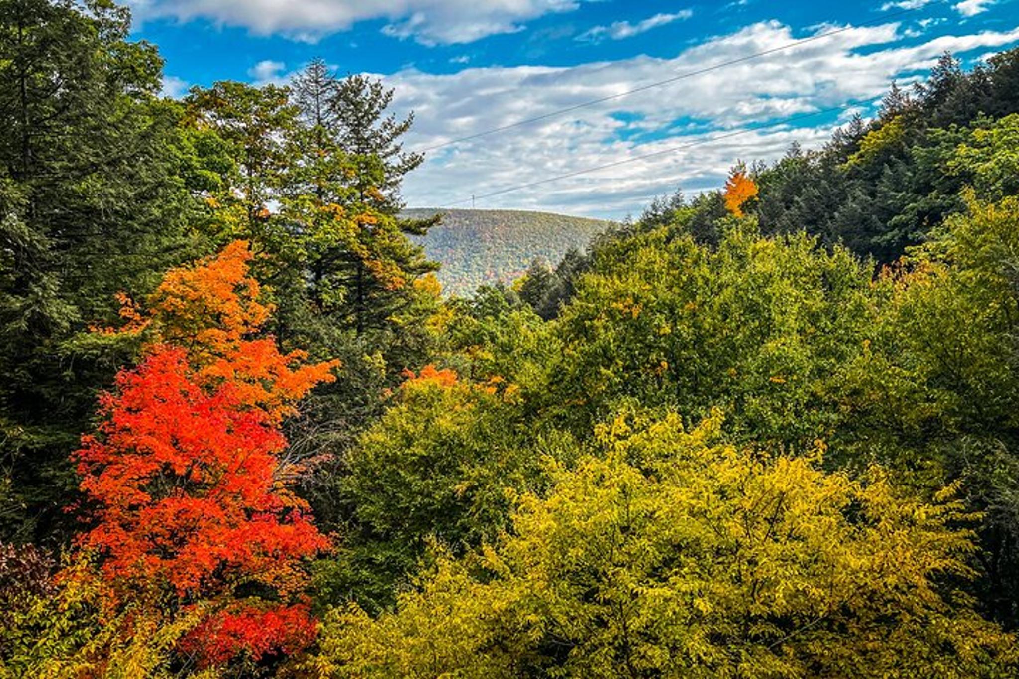 Bristol Mountain Zipline Canopy Activity - Image 5