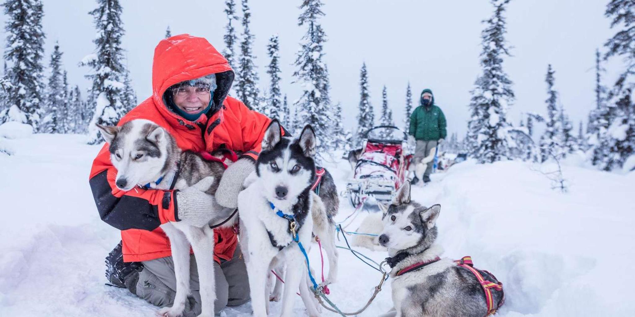 Fairbanks Dog Sledding Adventure - Image 4