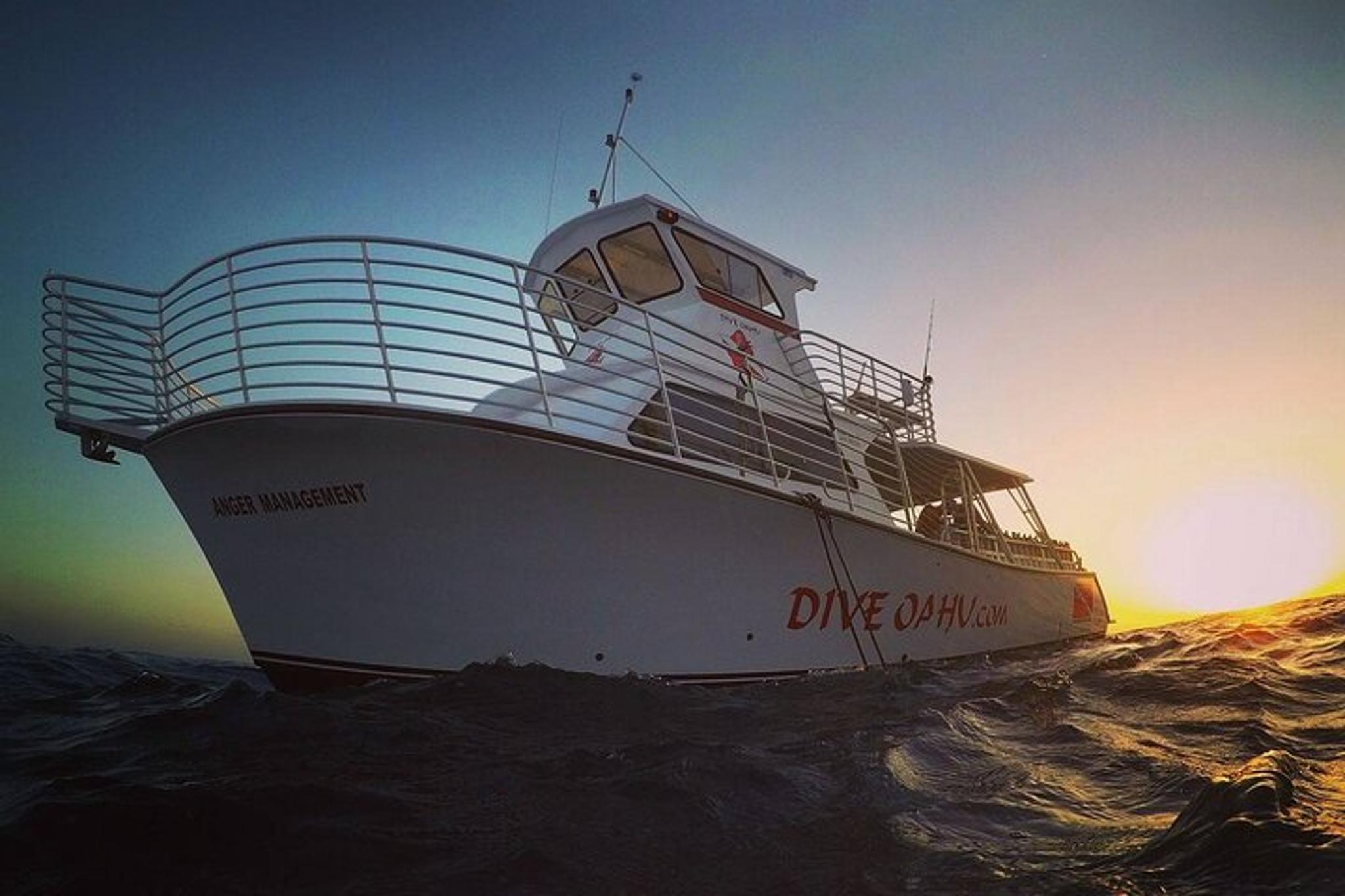 Oahu 2-Tank Night Dive for Certified Divers - Image 6