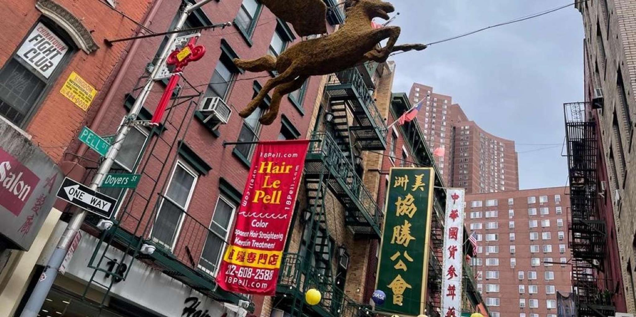 New York Chinatown Walking Food Tour - Image 5