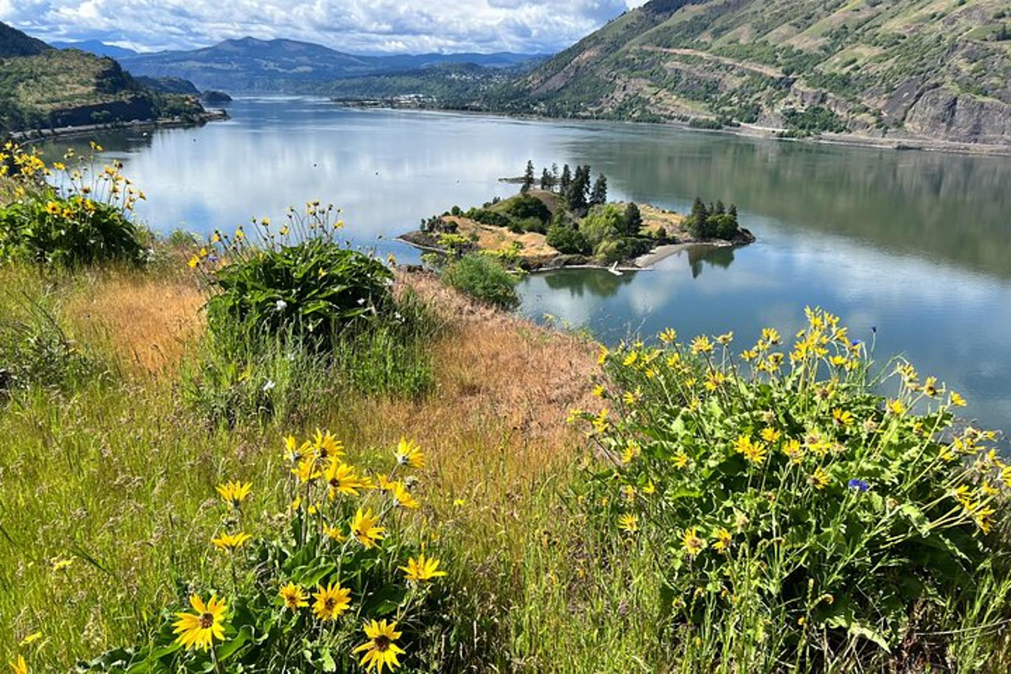 Hood River E-Bike Rental - Image 4