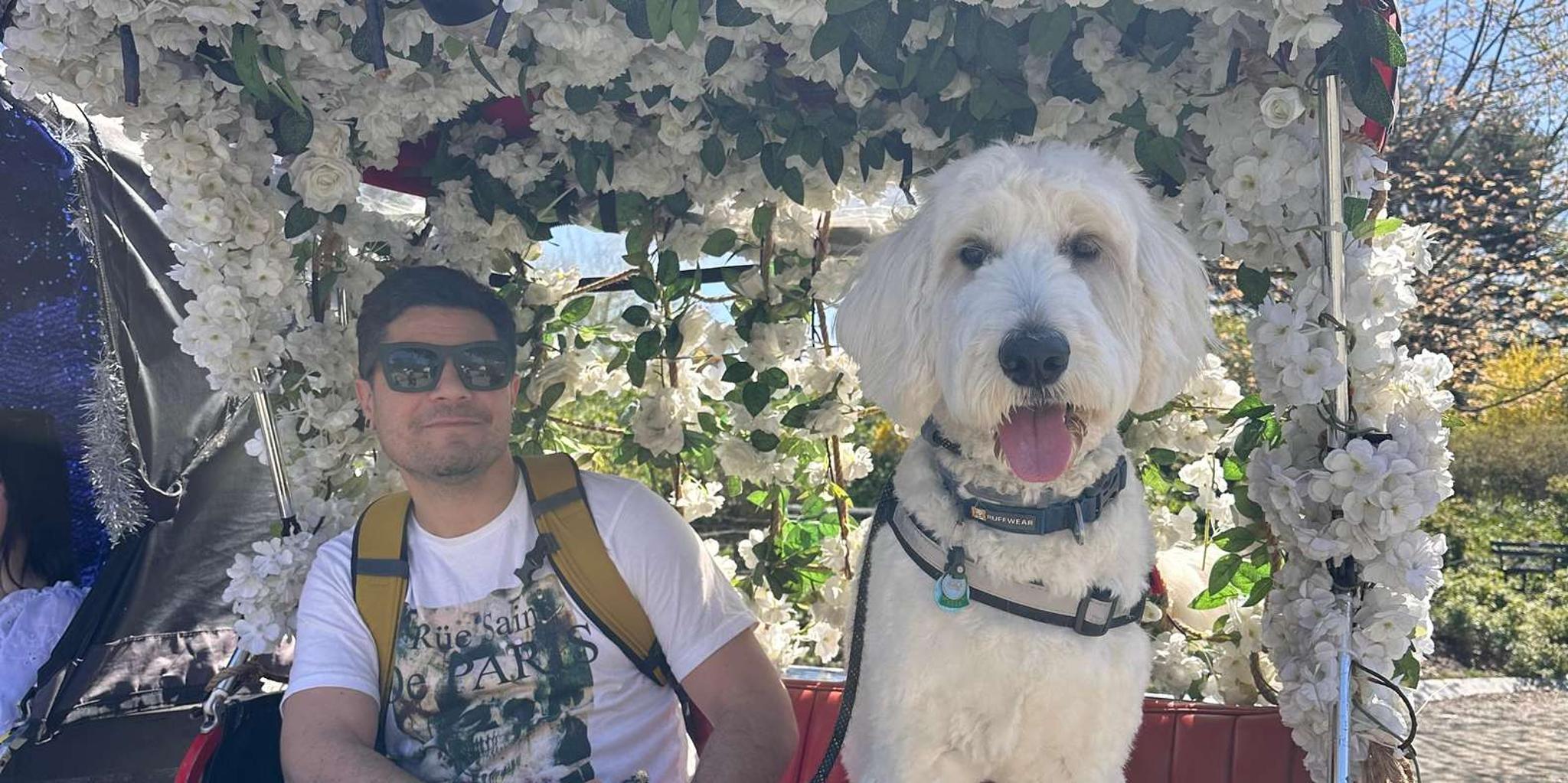 New York Central Park Movie & Celebrity Pedicab Tour 1.5 hr - Image 5