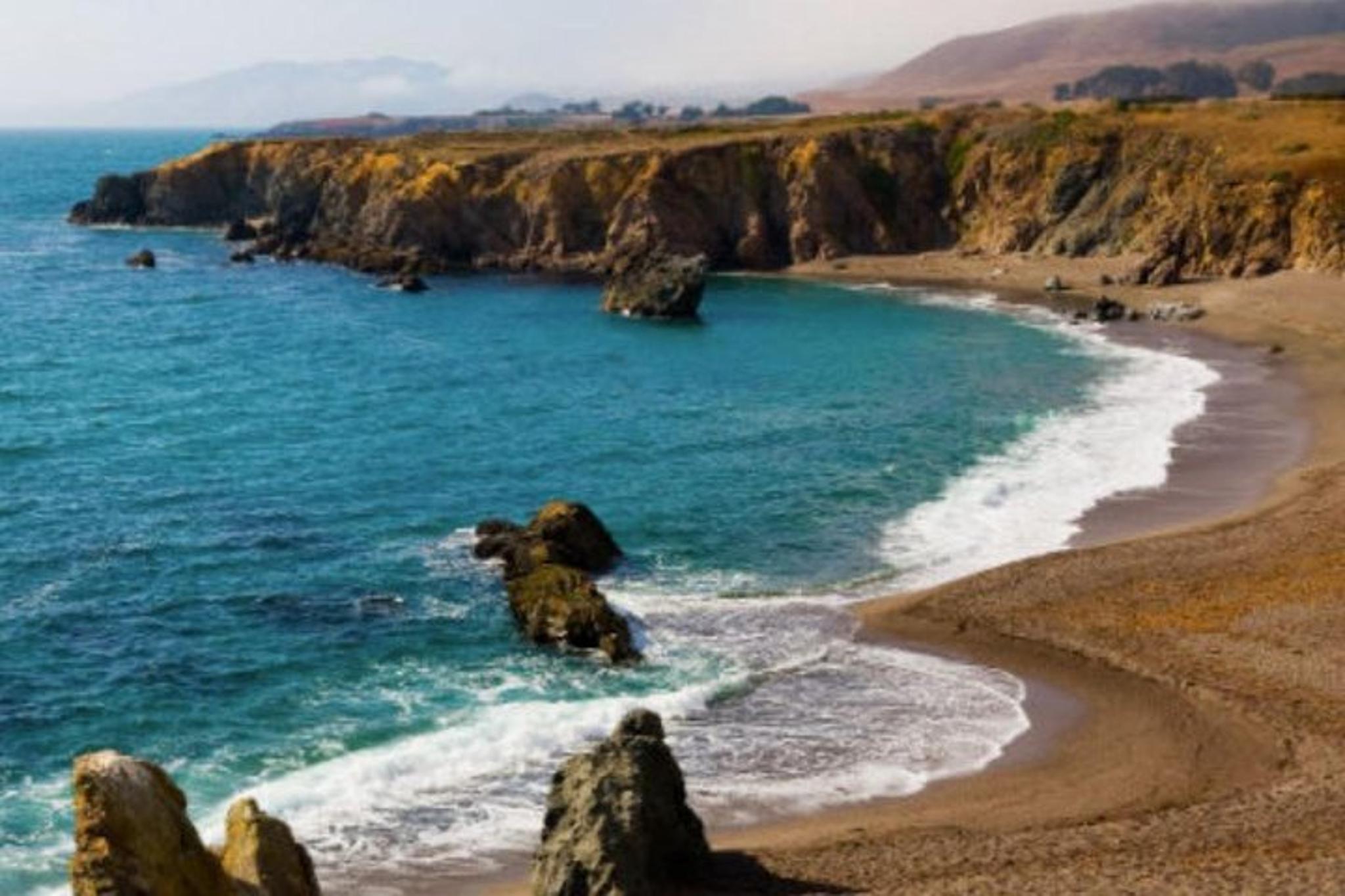 San Francisco Redwoods & California Coast Day Trip - Image 5