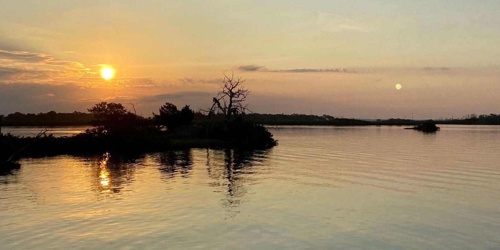 Crystal River Airboat Adventure - Image 4