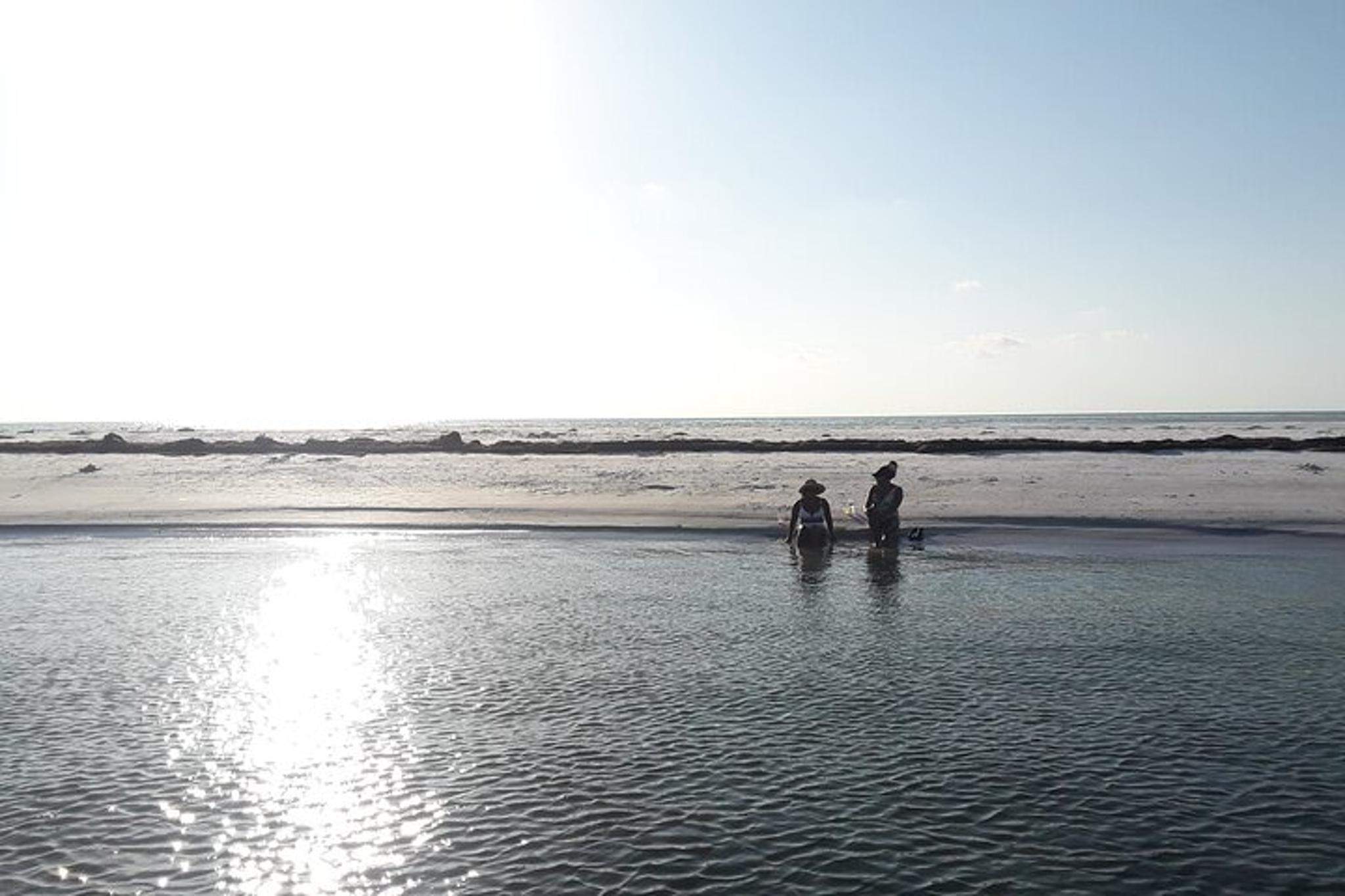 Clearwater Beach and Waterways Private Tour - Image 3